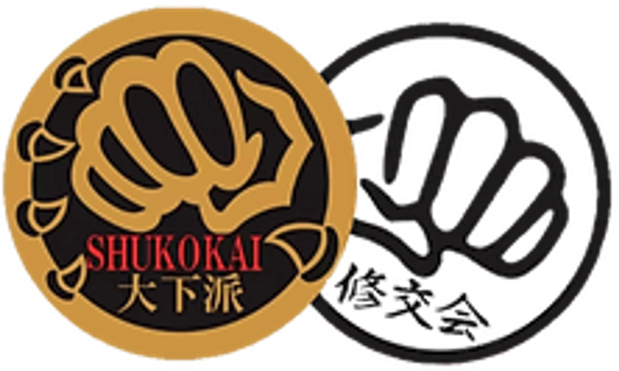 Traditional karate club