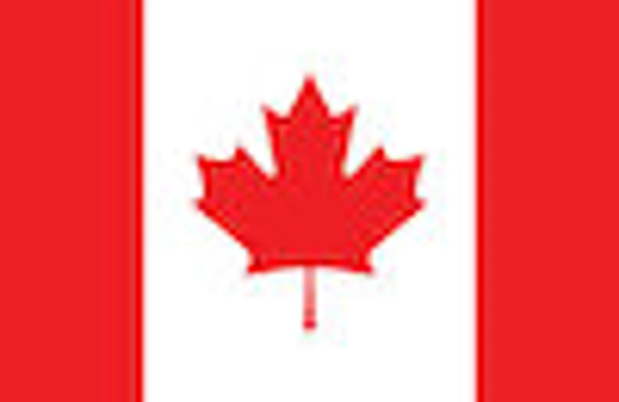 The 5K Foam Fest Canada 2024