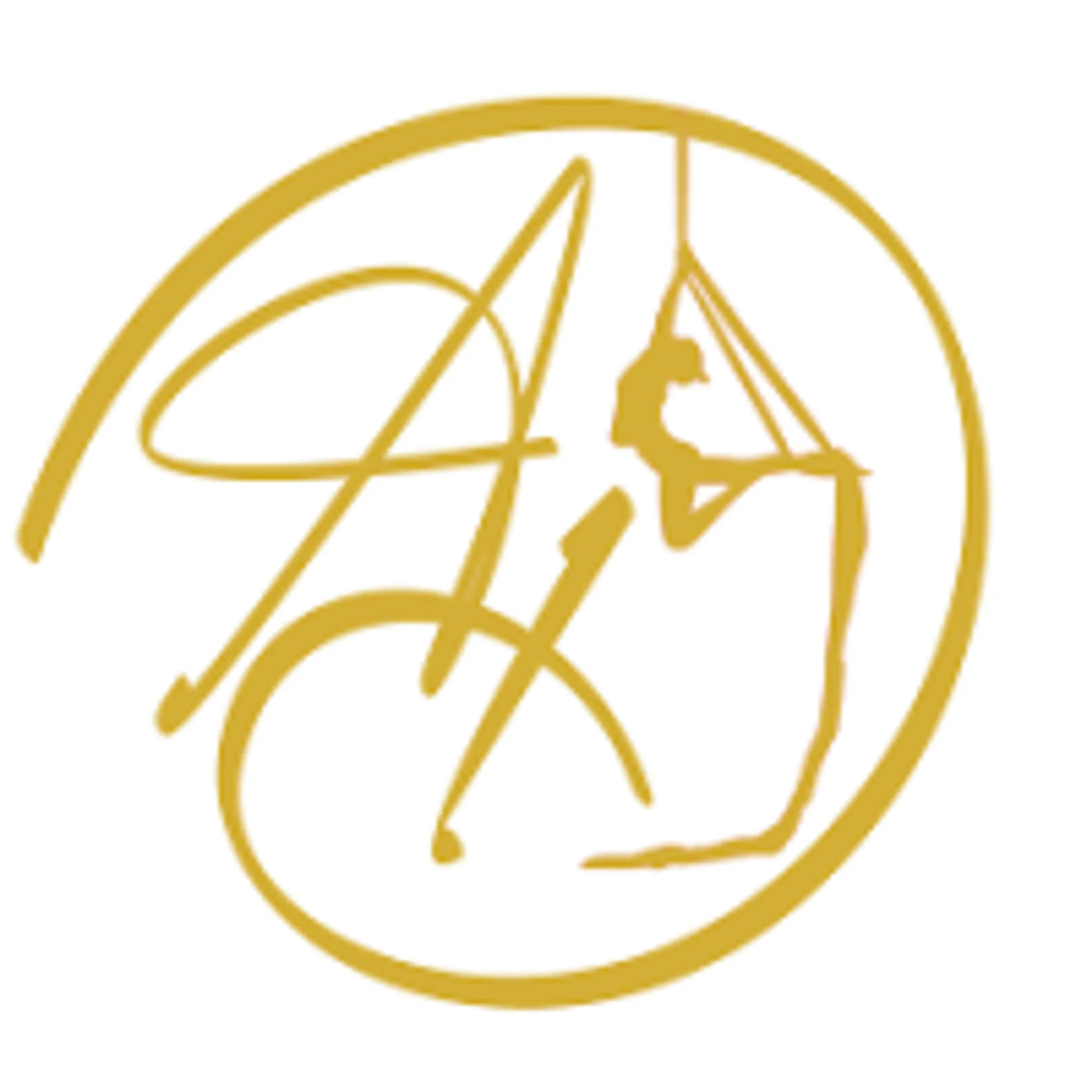 Aerial Dreaming Circus School and Performing ARTS