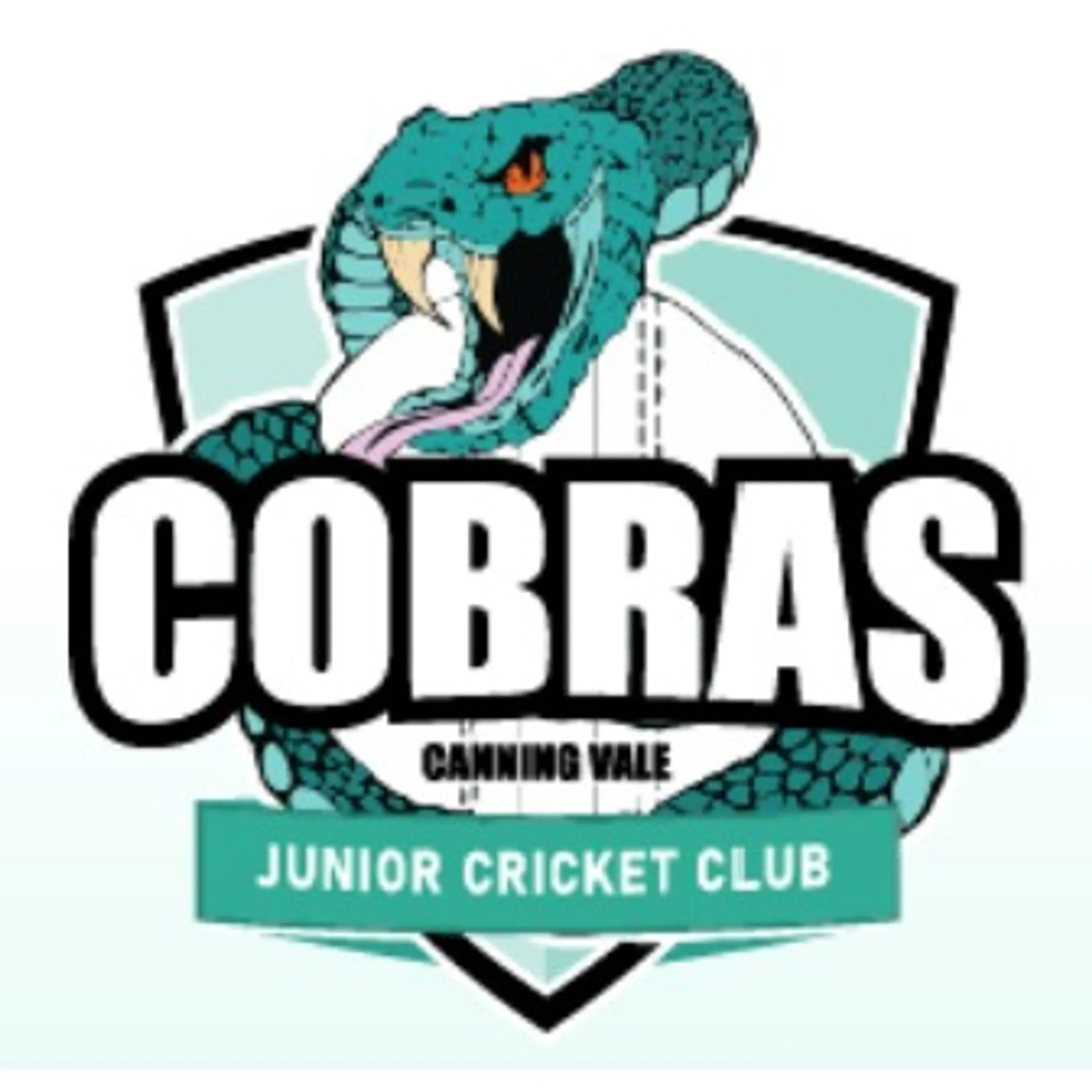 Canning Vale Junior Cricket Club