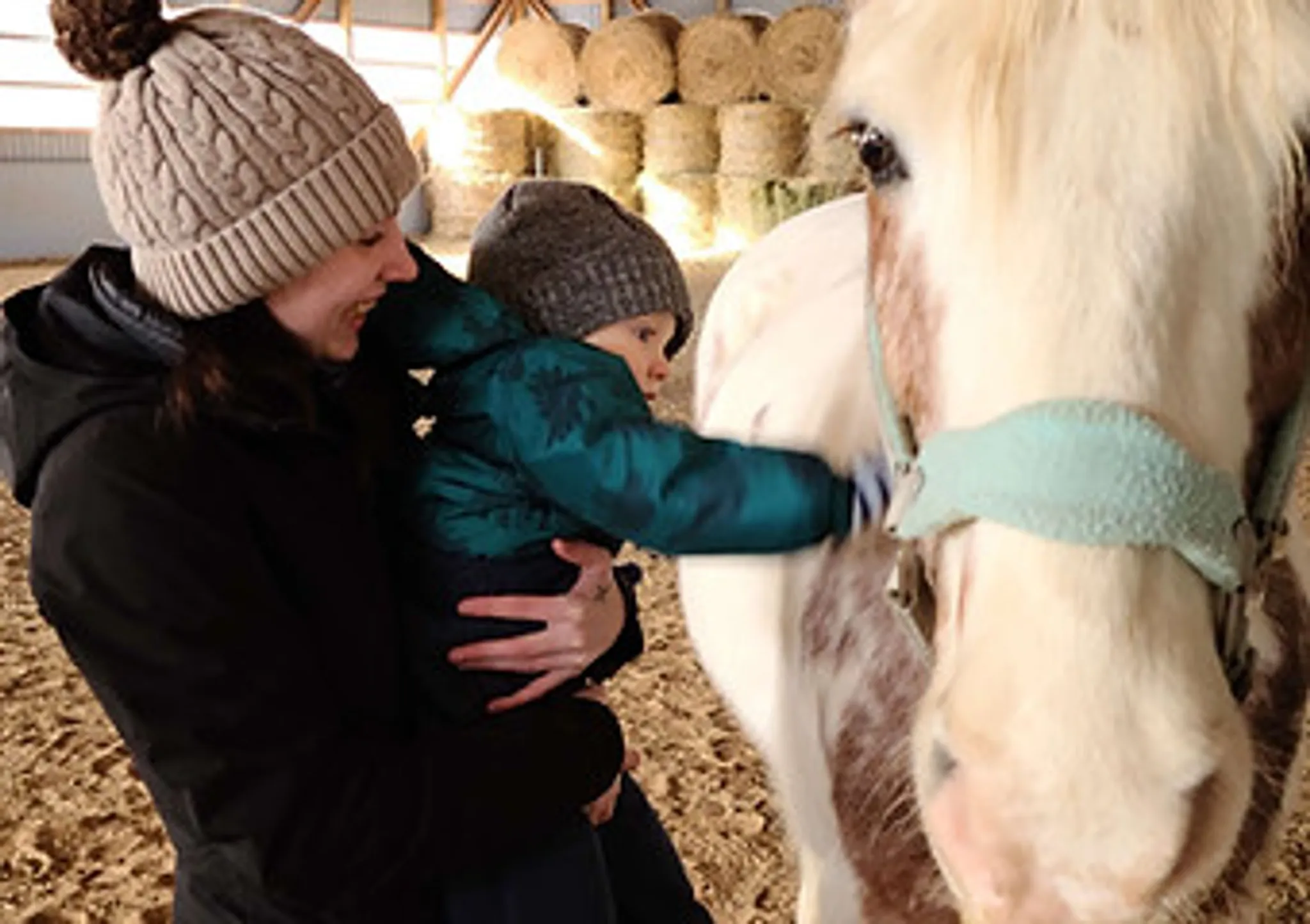 Rein In Equine Wellness Centre