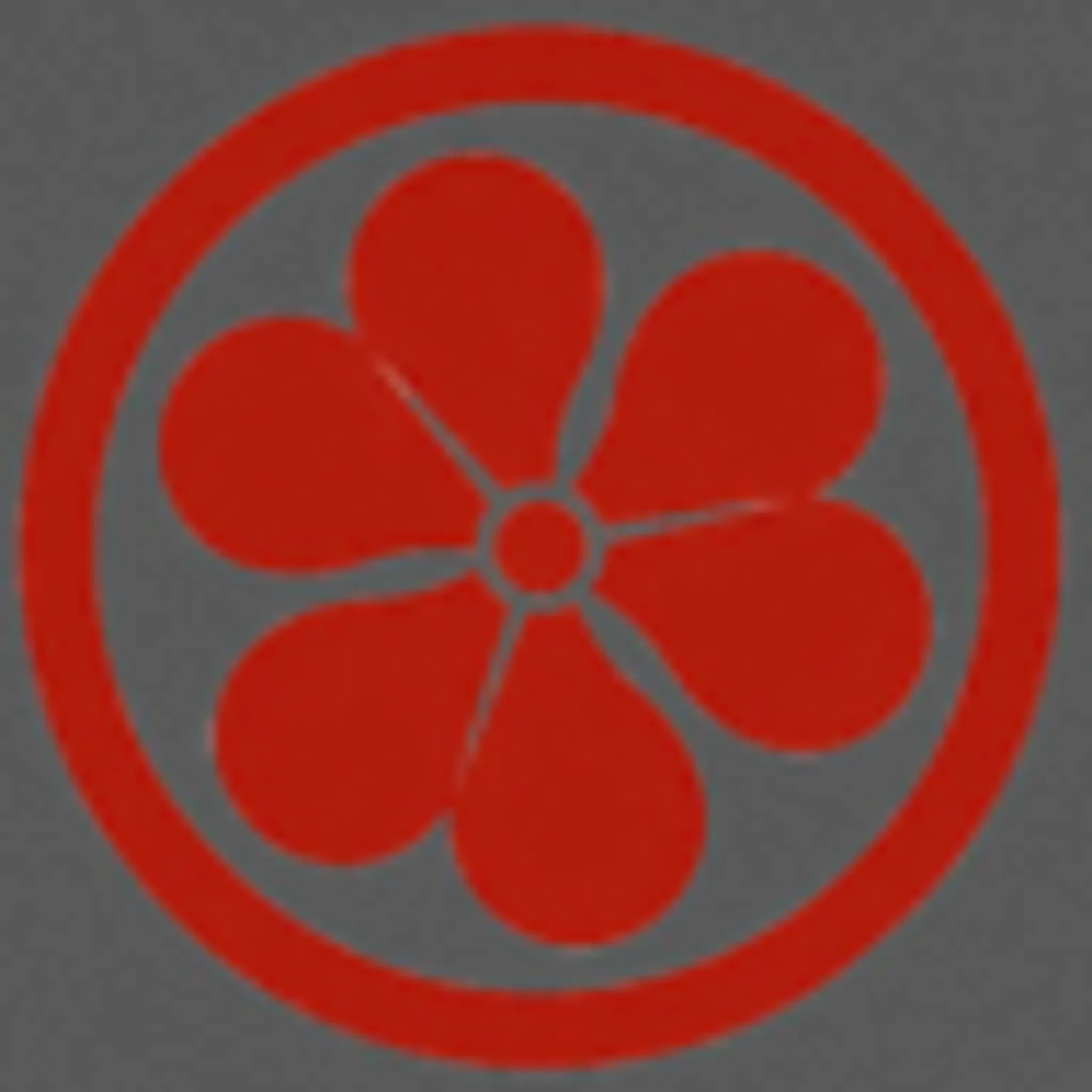 Iaido (sabre japonais)