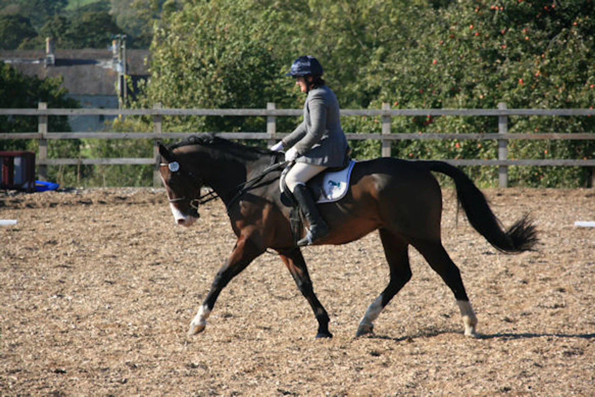 J B Equestrian Services