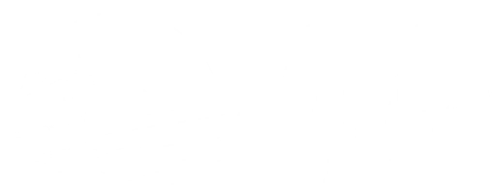 Desert Salmon Charters