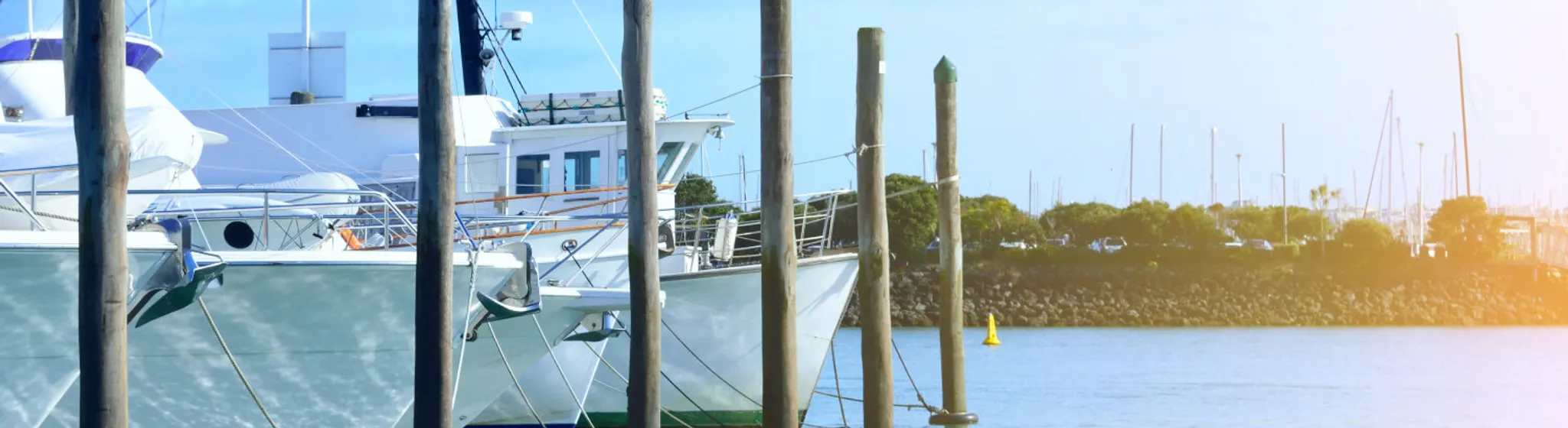 Party Boat and Harbour Cruise