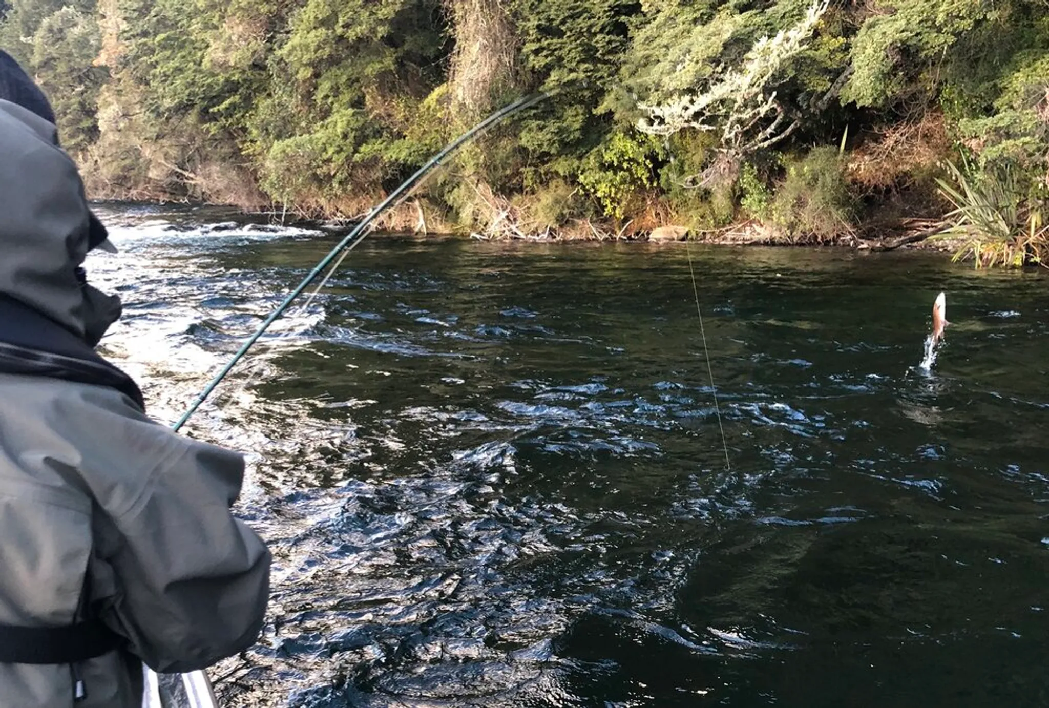 Winter Fishing in Fiordland
