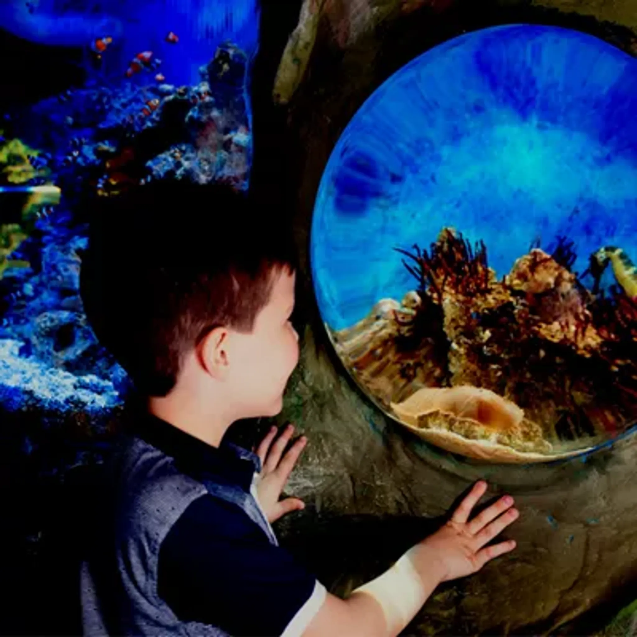 Weymouth Pirate Adventure Mini Golf