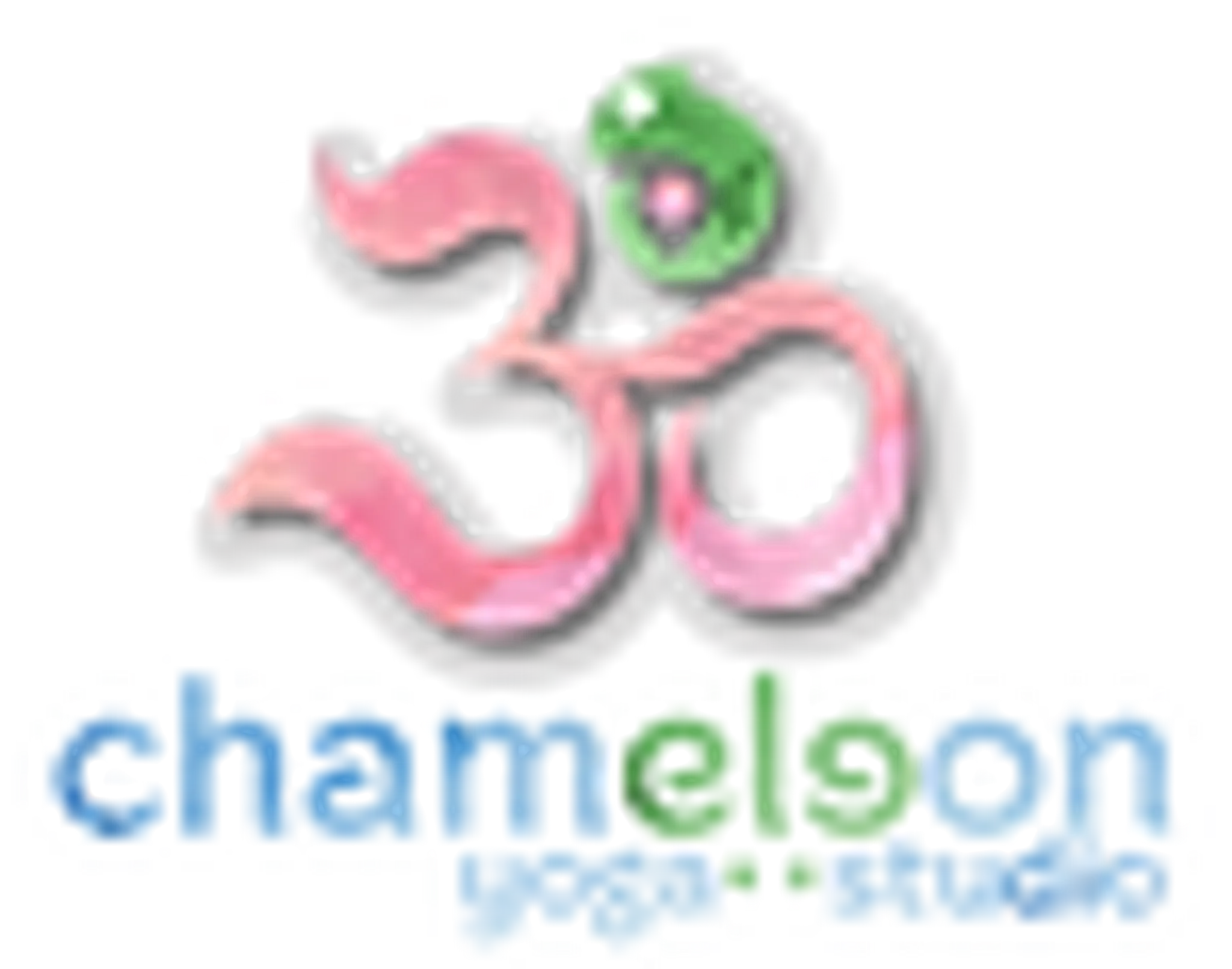 Chameleon Yoga Studio