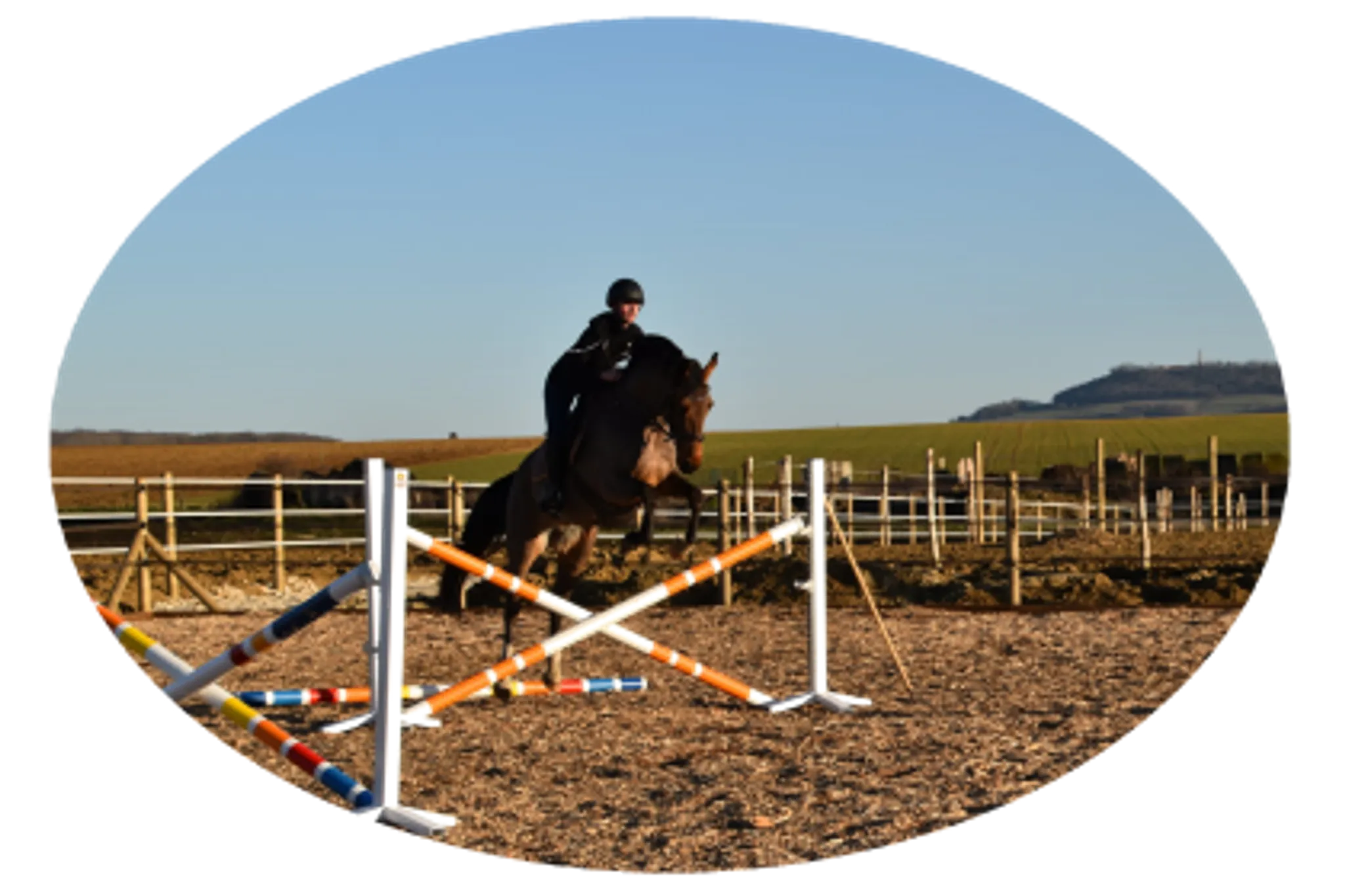 Horse Farm D'yggdrasil