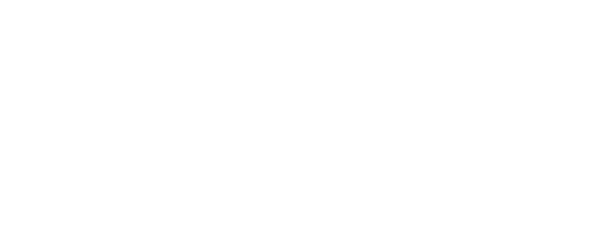 The Pink Studio - Dance + Fitness