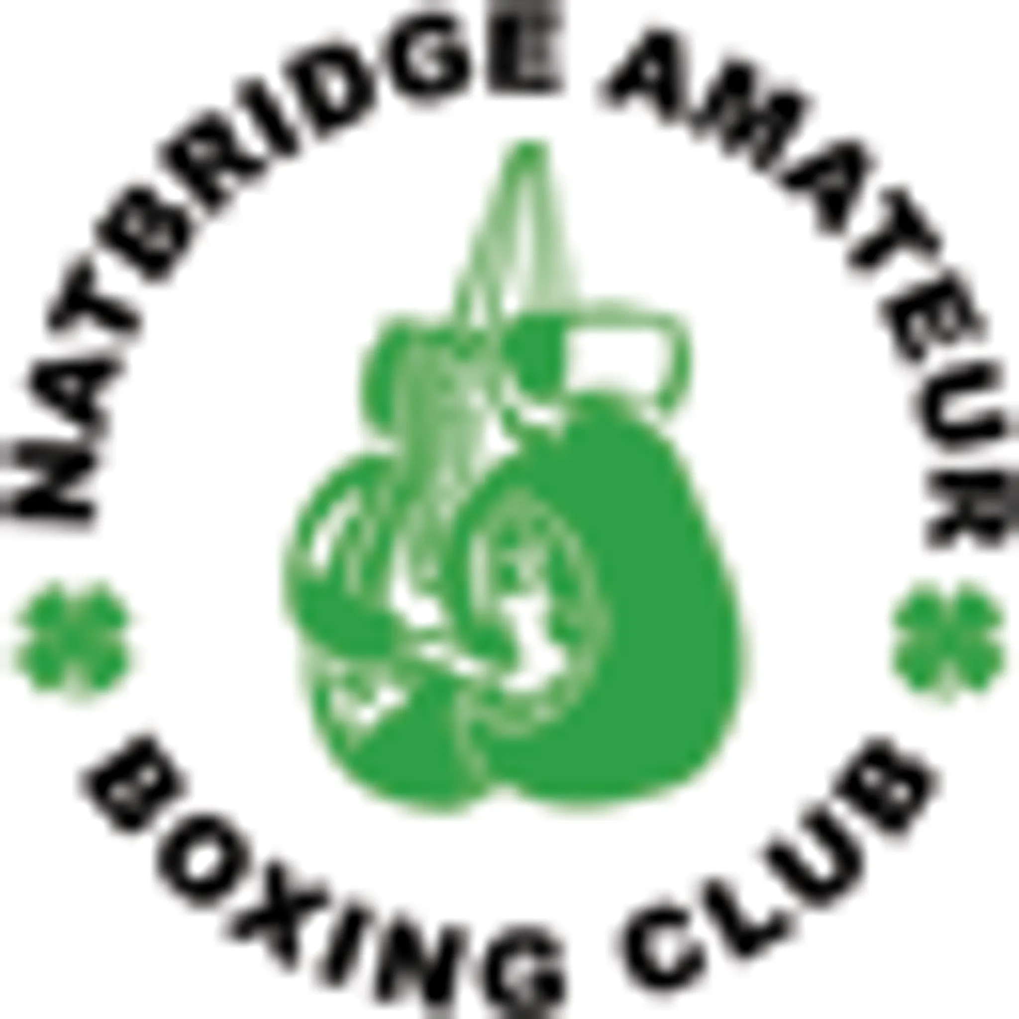 Natbridge Boxing Academy