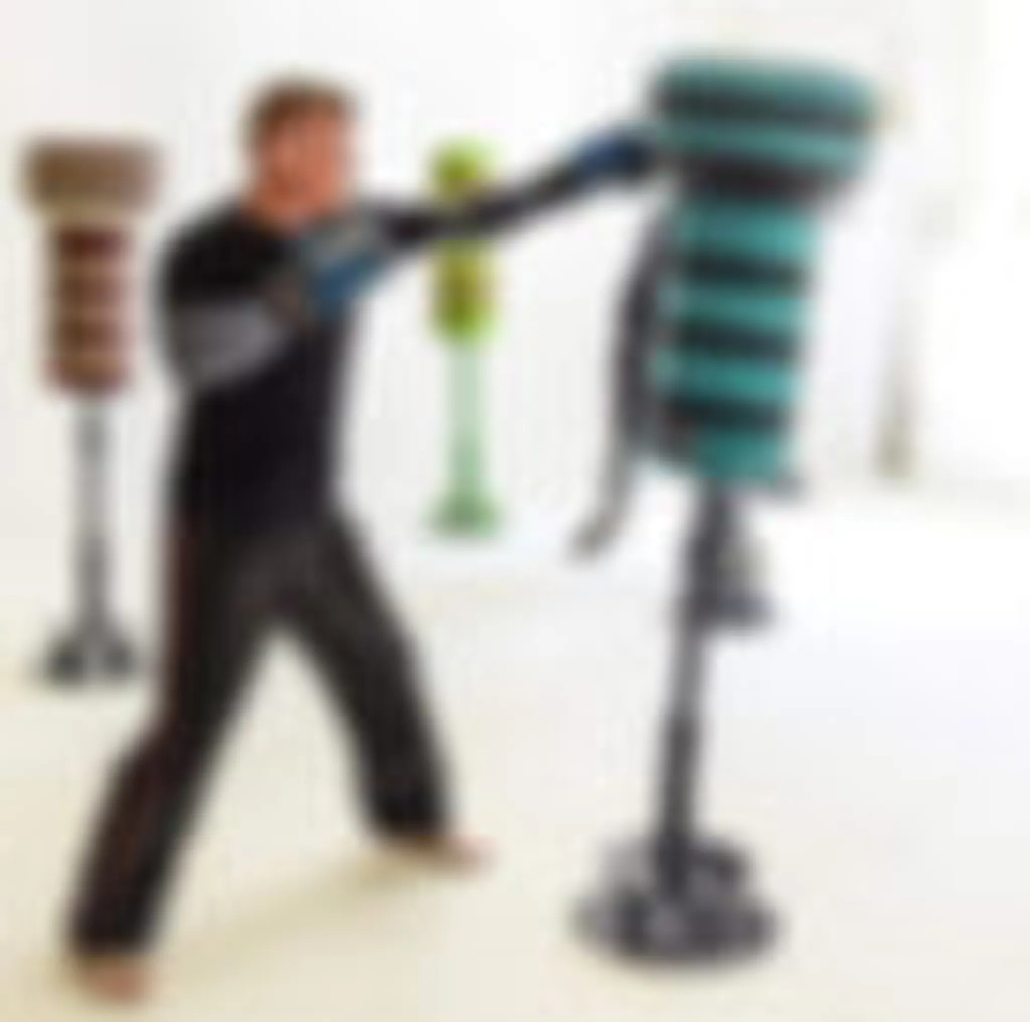 Raven Defensive Arts