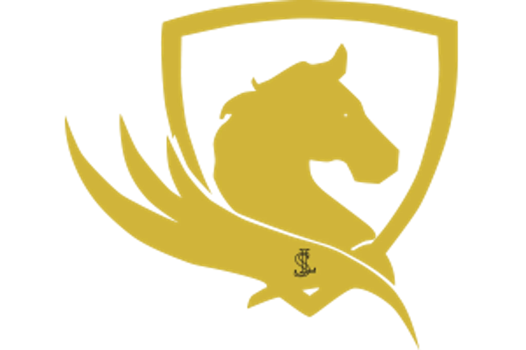 East Boldon Riding Centre