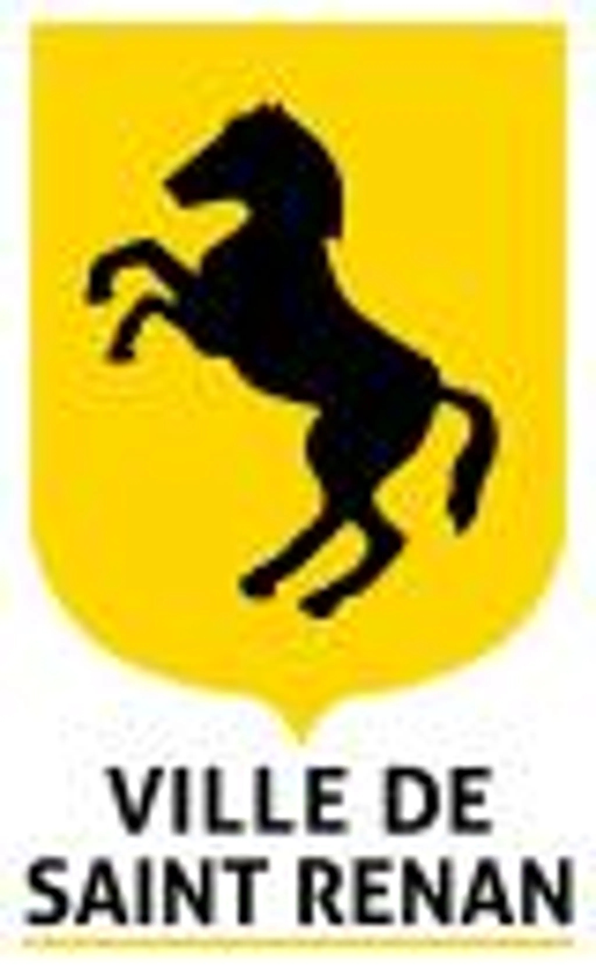 Saint-renan iroise volley