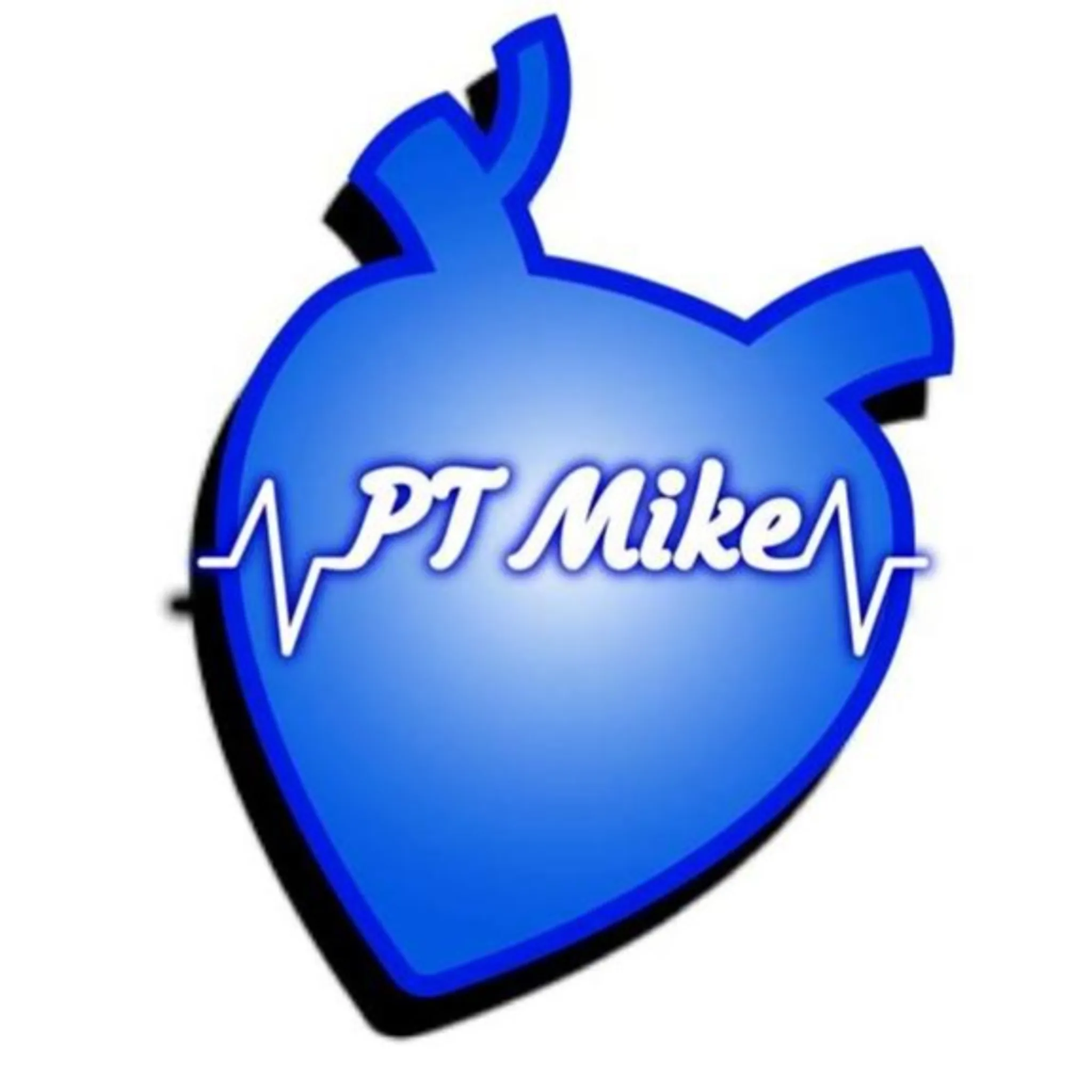 PT Mike