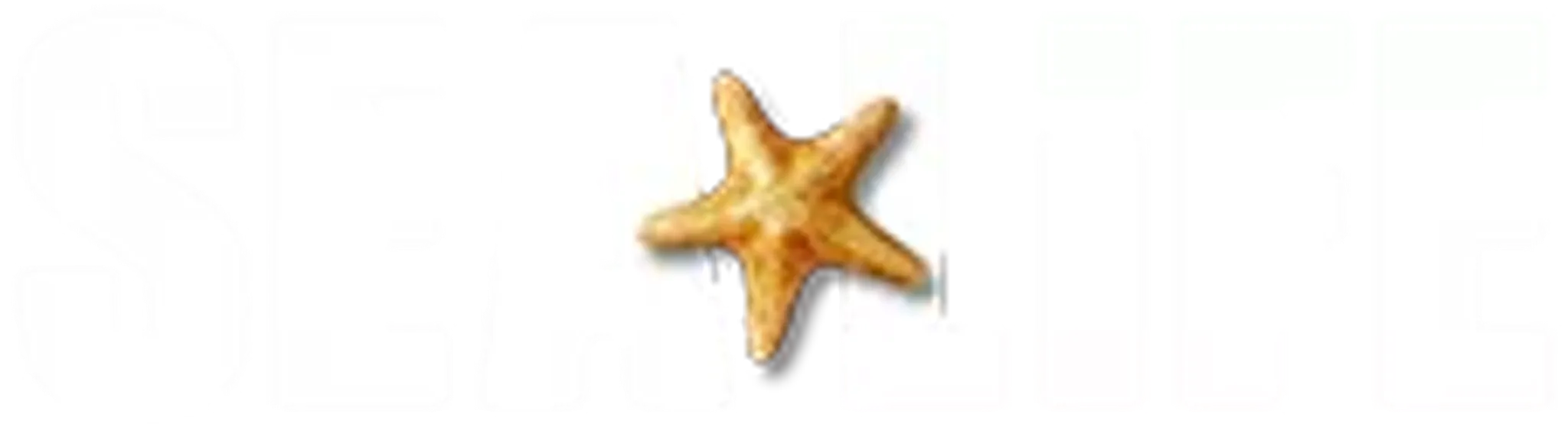 Weymouth Pirate Adventure Mini Golf