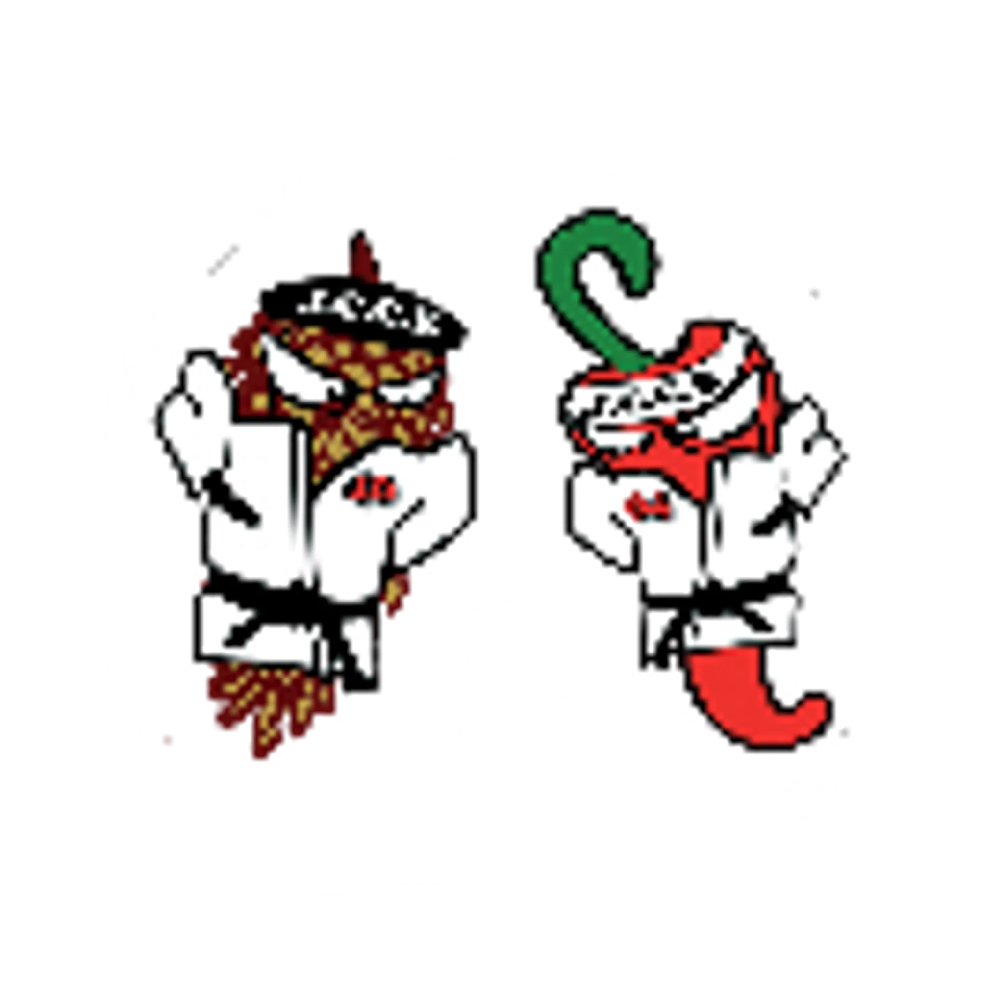 Judo Côte Basco-Landais