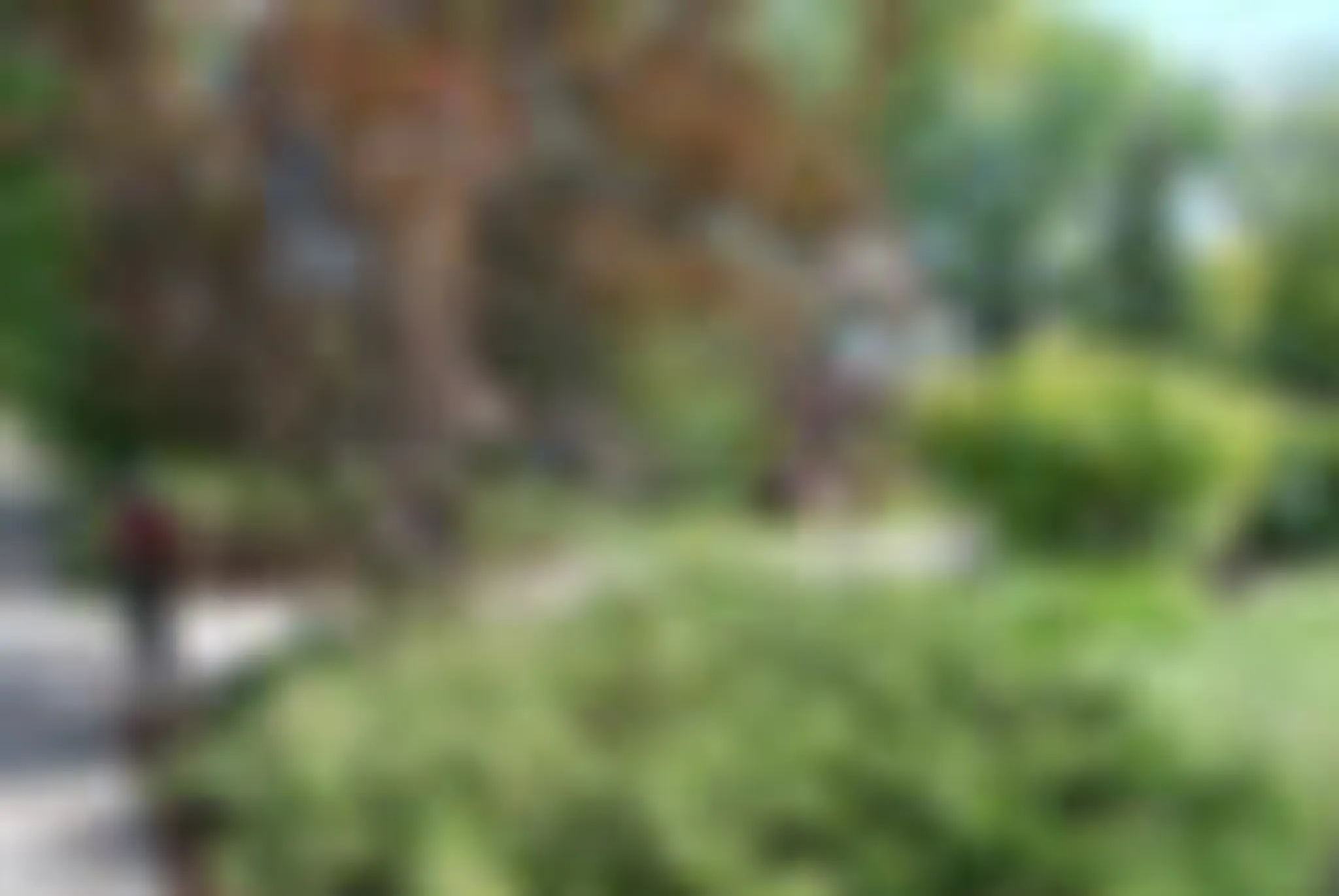 McKernan Outdoor Skating Rink