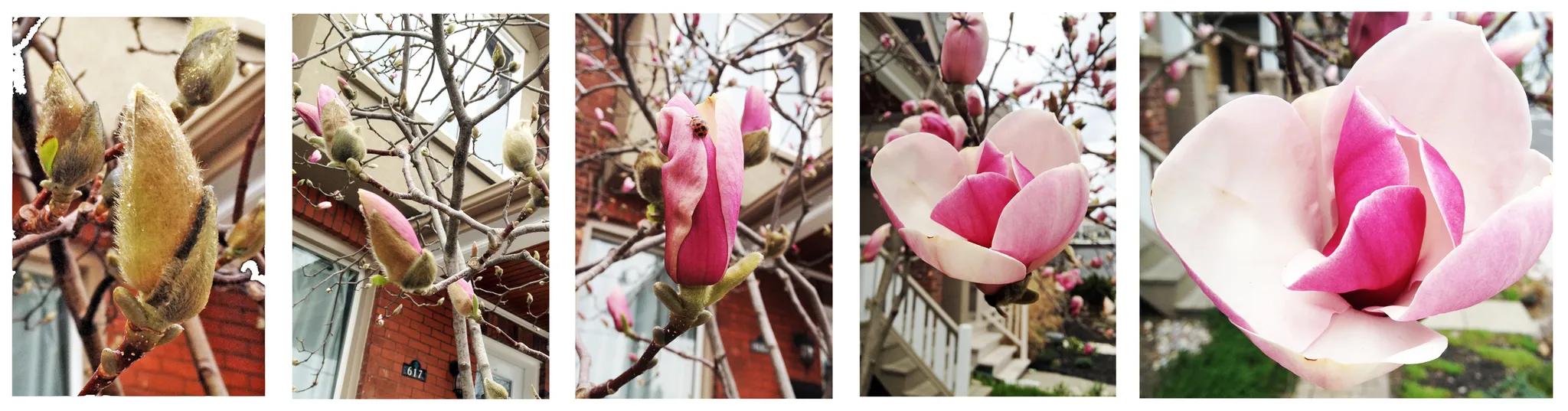 De la Terre au Ciel - retraite de yoga Iyengar dans les Cantons-de-l'Est avec Eliot