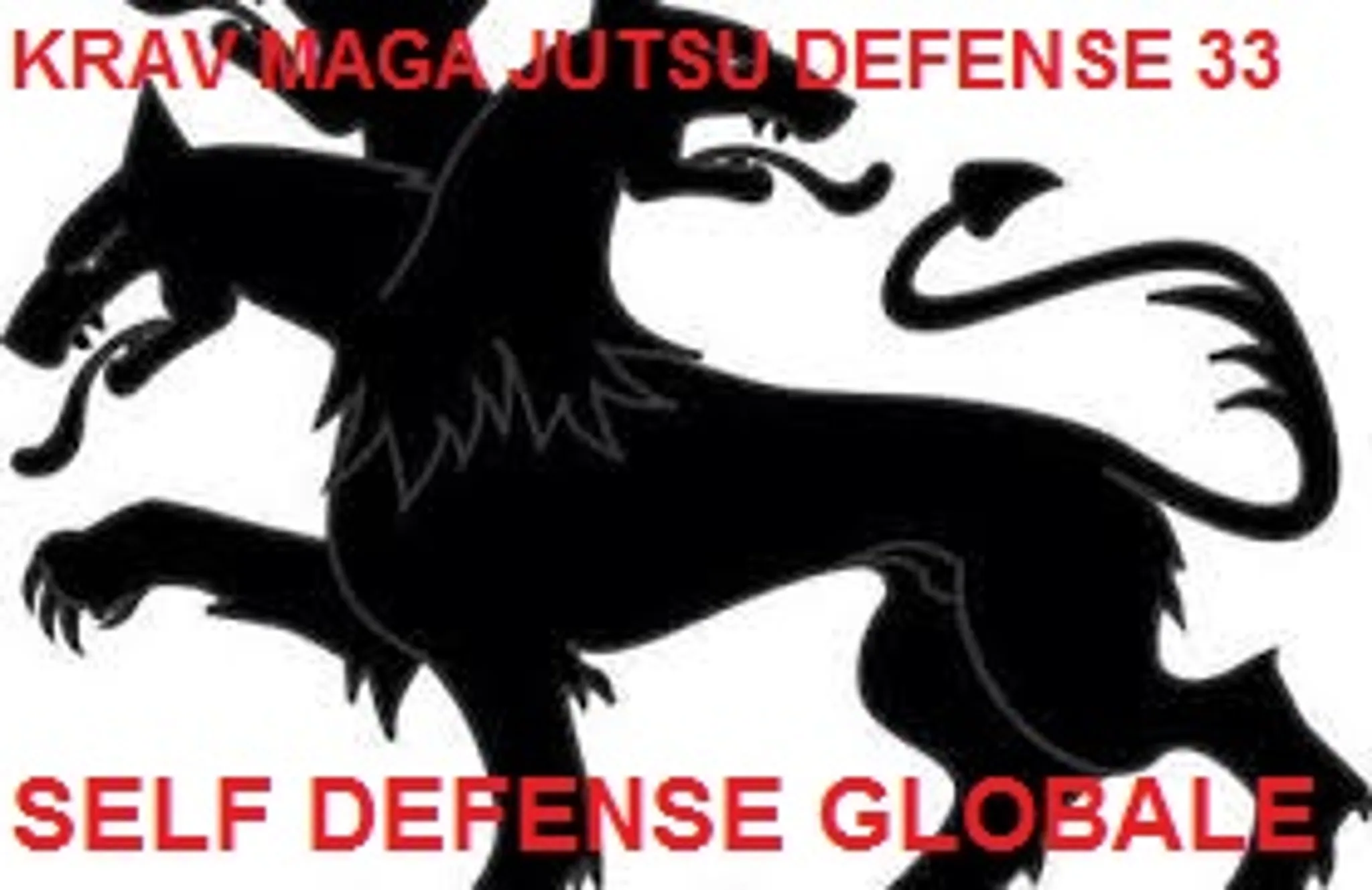 Kjds Le Haillan Krav Maga Self Defense