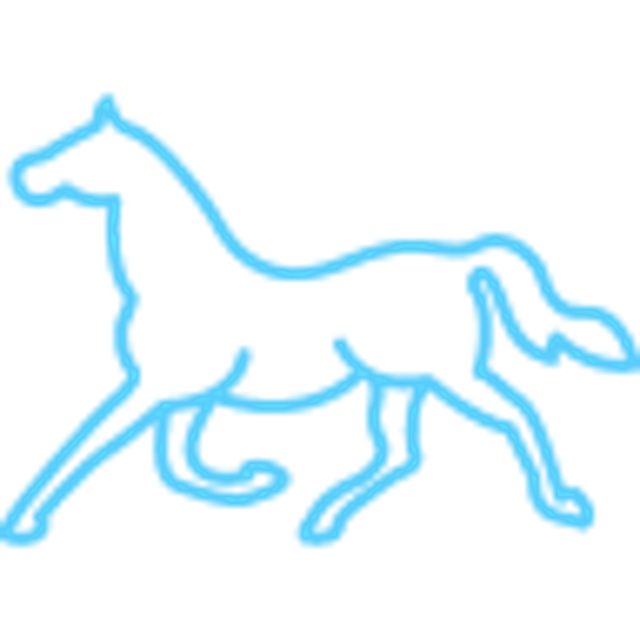 Matchmoor Riding Centre