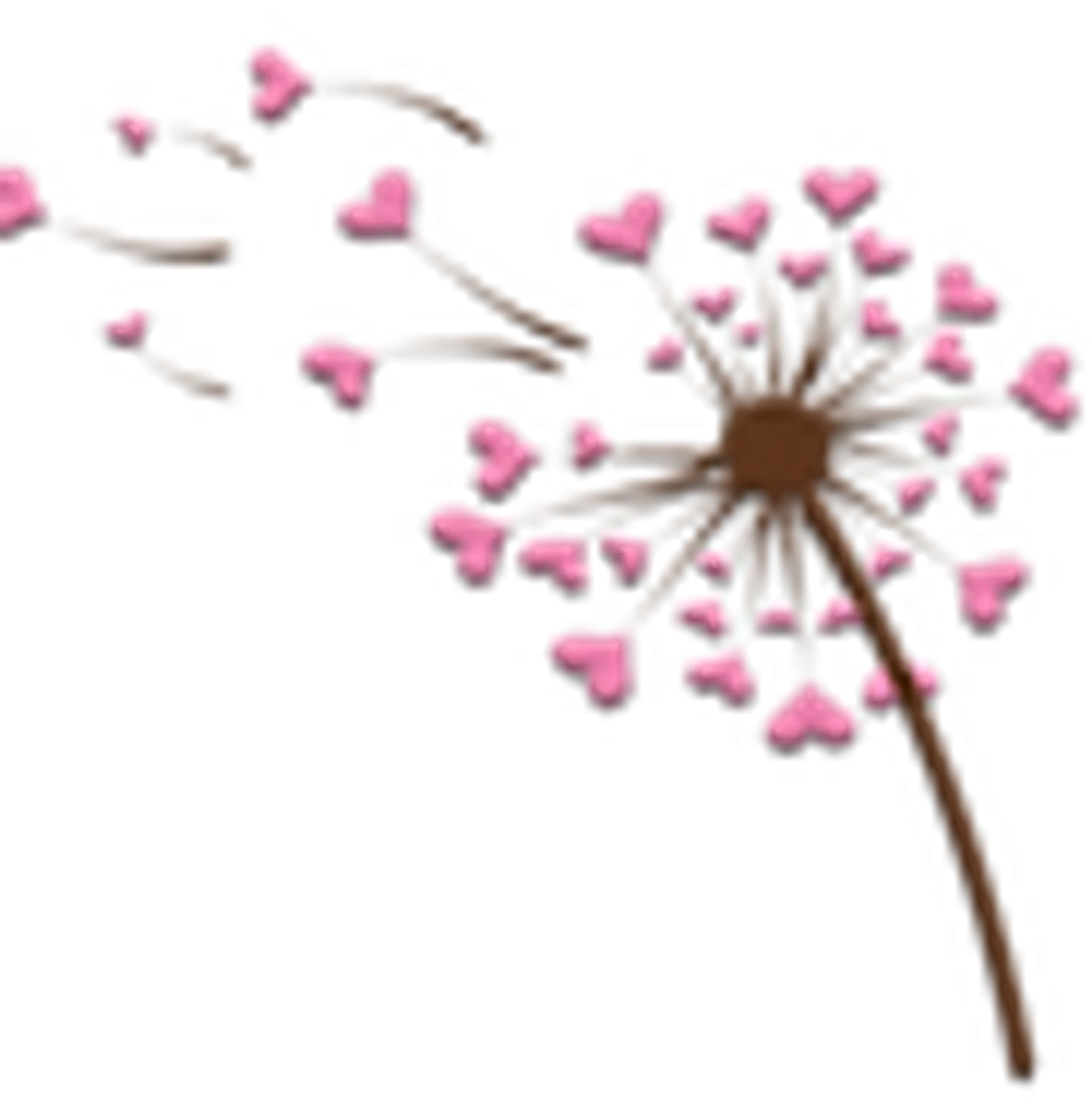 Annes Baby Classes Teesside