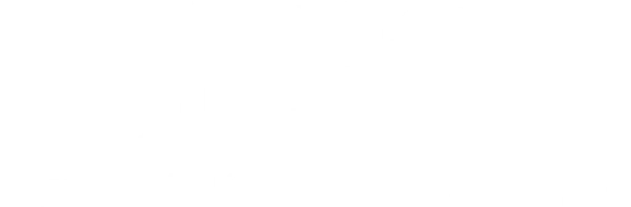 JSPT Bespoke Coaching