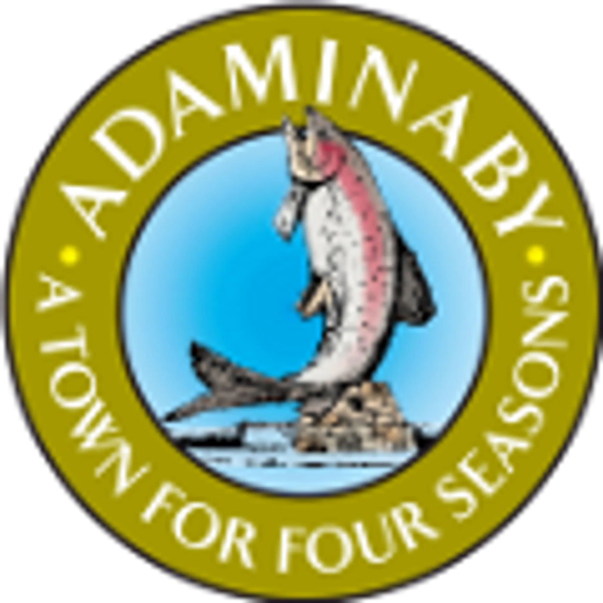 Adaminaby Swimming POOL