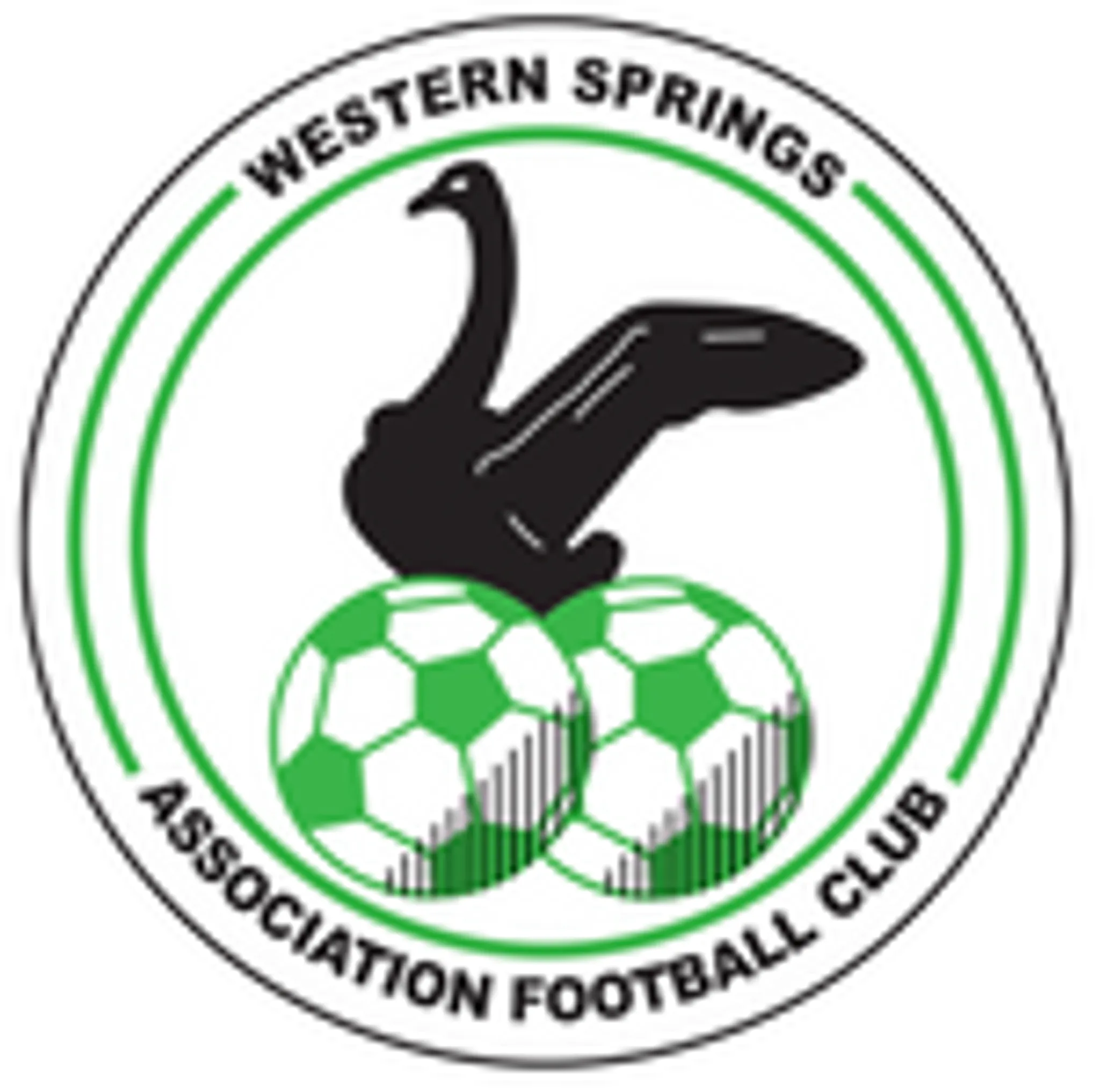 Western Springs Association Football Club