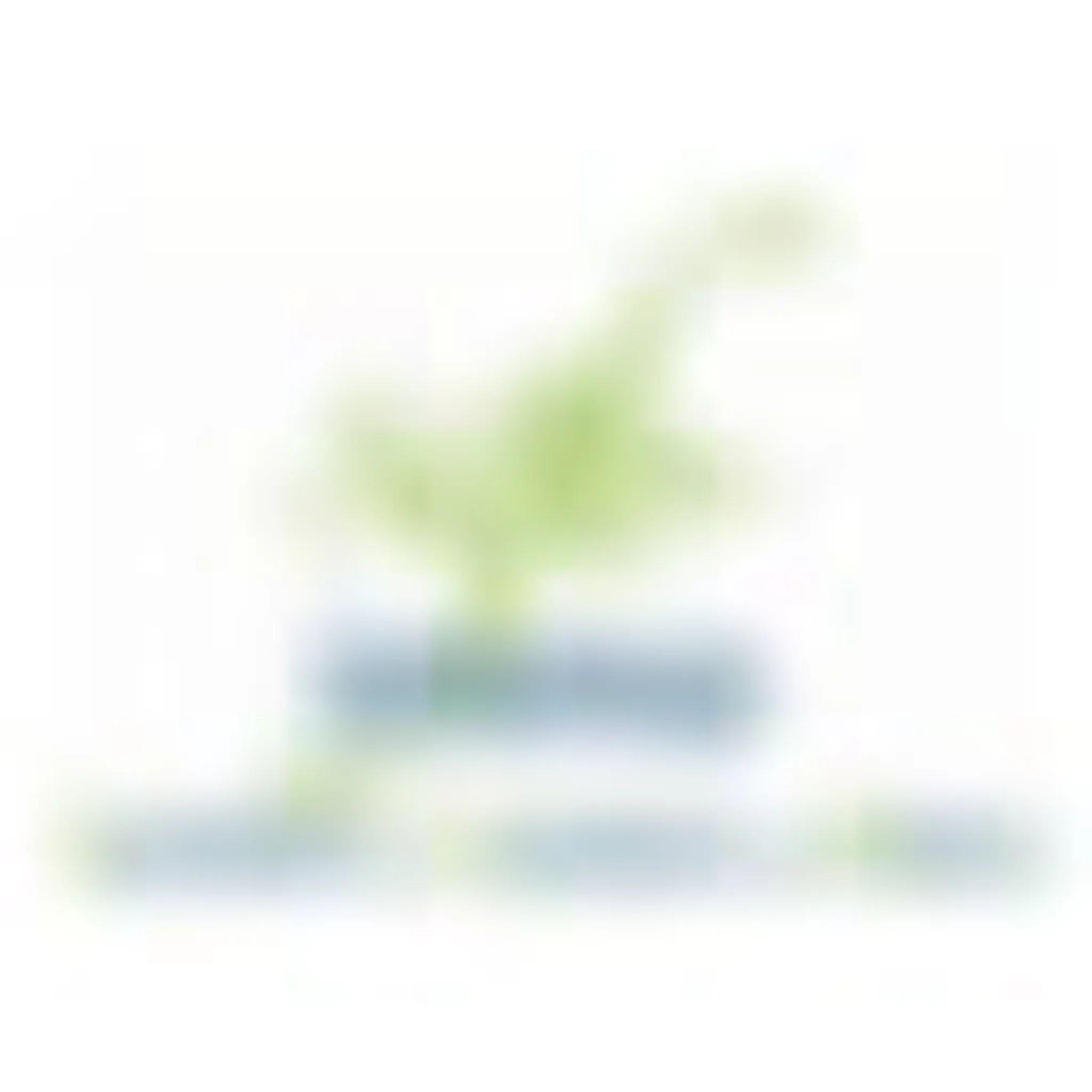 Basket Club Golbey Epinal