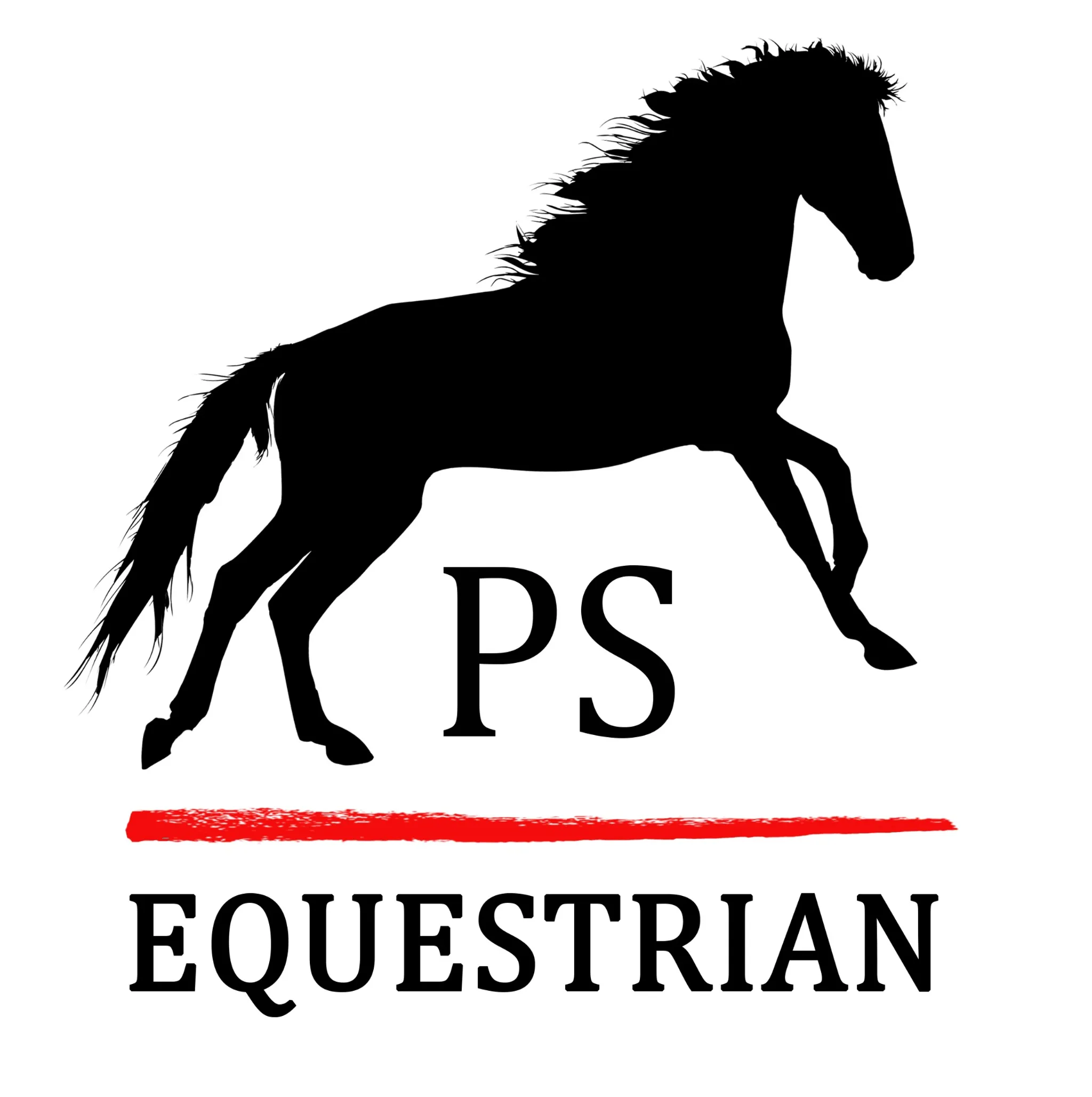 Horse Riding Lessons