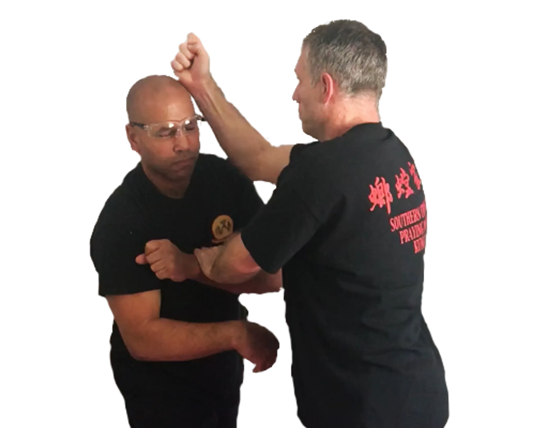 Chow Gar Southern Praying Mantis Kung Fu