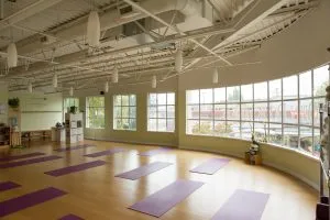 Main & 14 Arm Balance – Effective Vinyasa Series Main & 14 Arm Balance – Effective Vinyasa Series