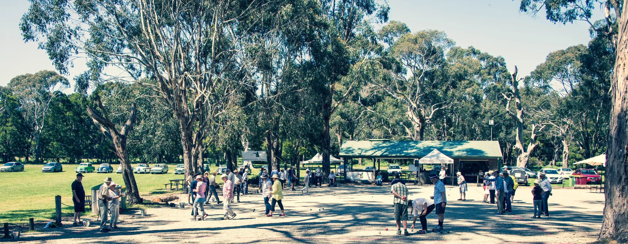 Regular Procedures and Activities Membership Renewals