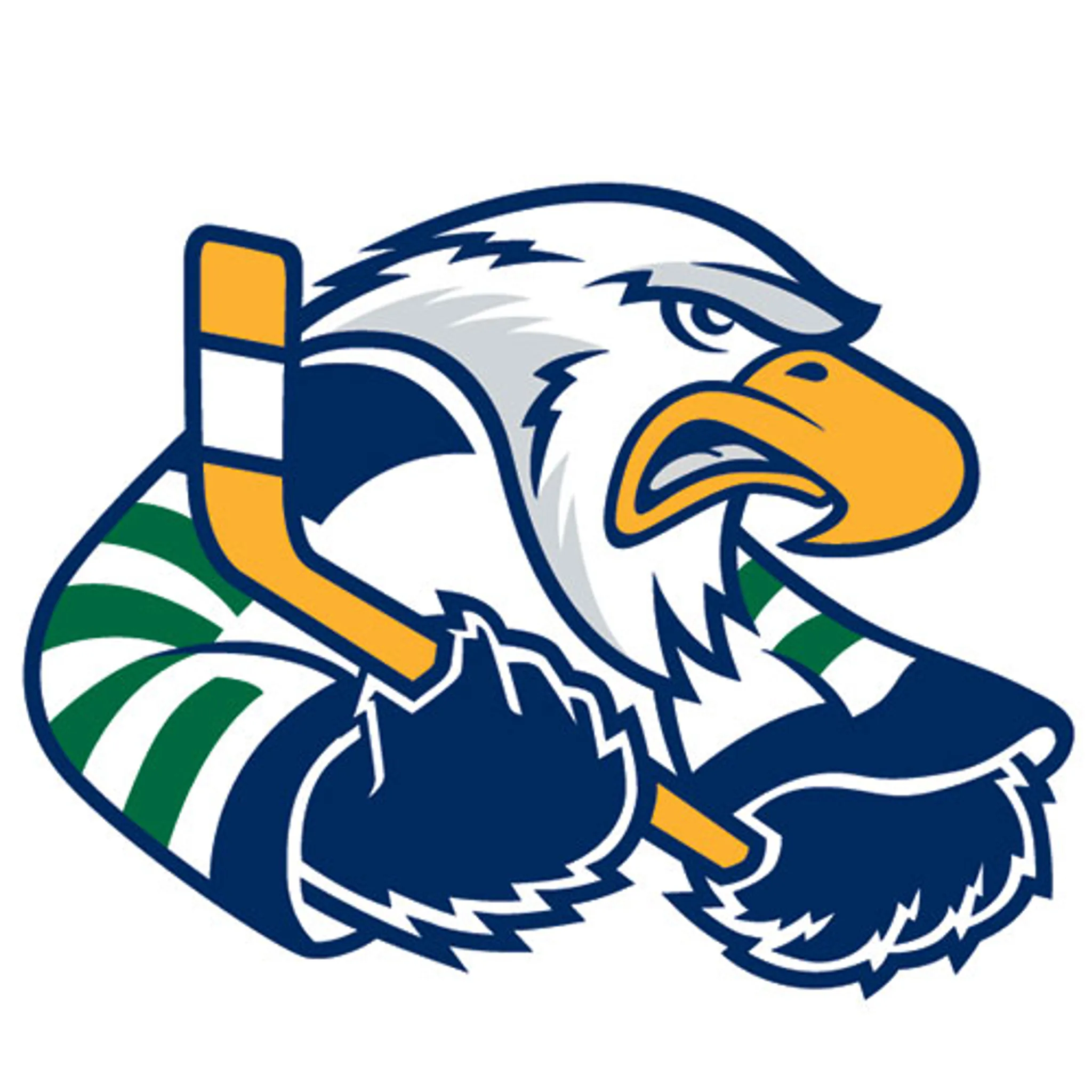 South Surrey Eagles Junior 'A' Hockey Club