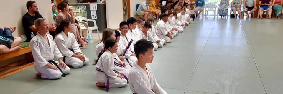 Children Aikido Class Children Aikido Class