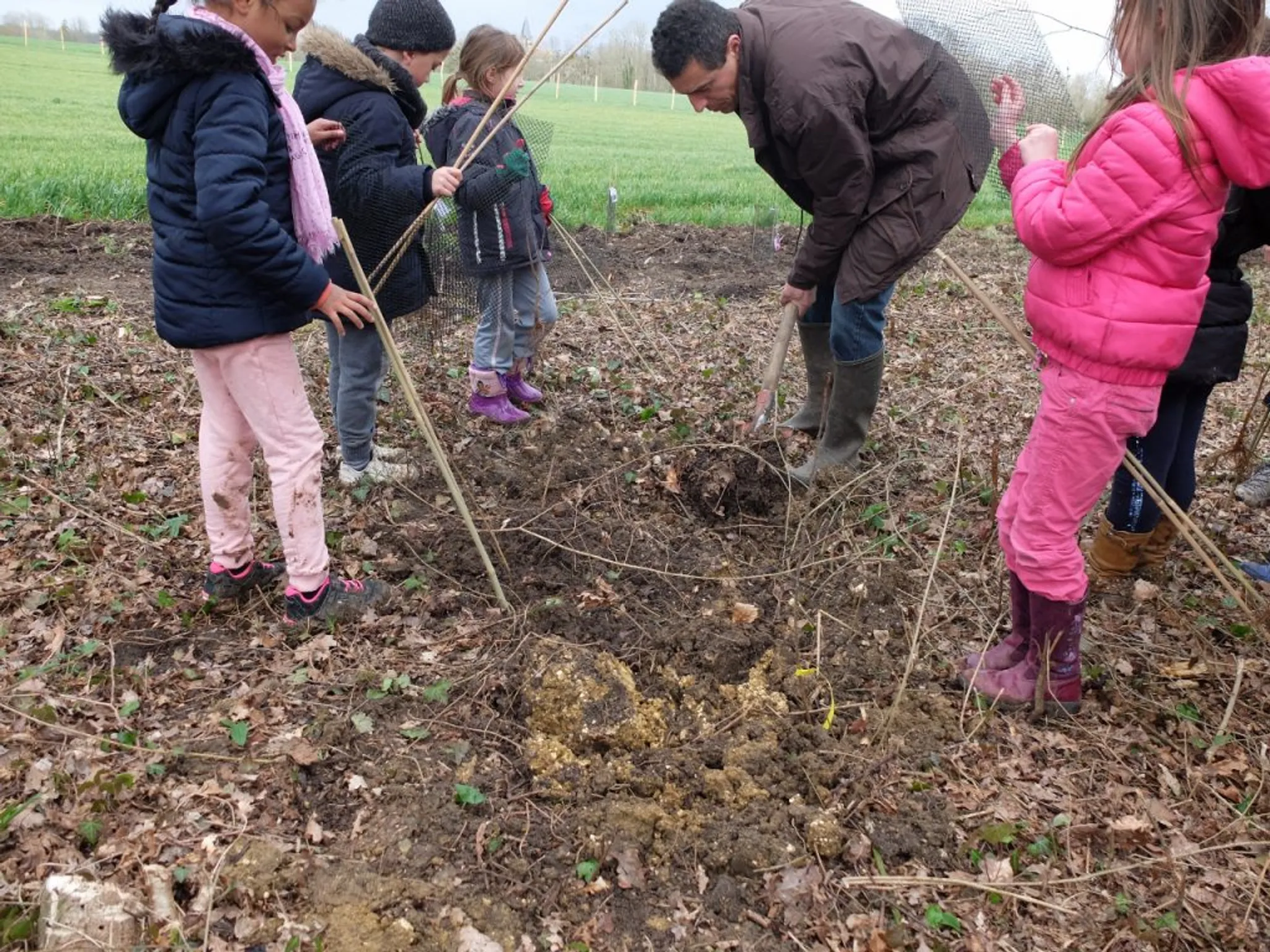 Jumping Forest, parc de loisirs et accrobranche