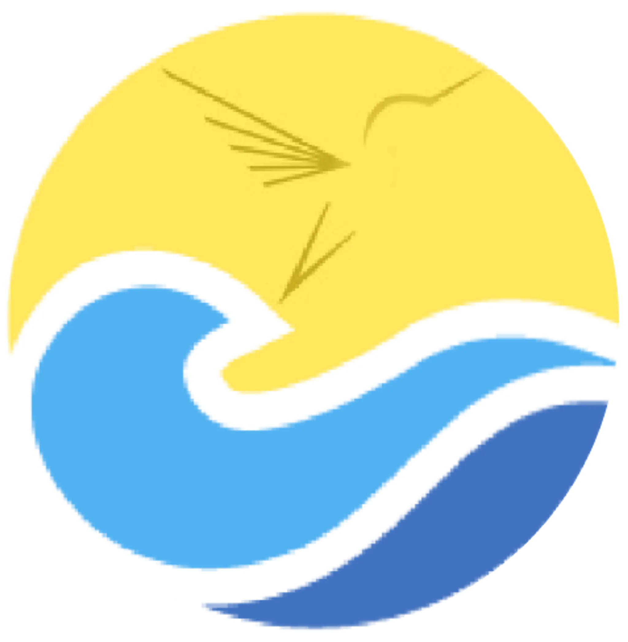 Hummingbird pool construction