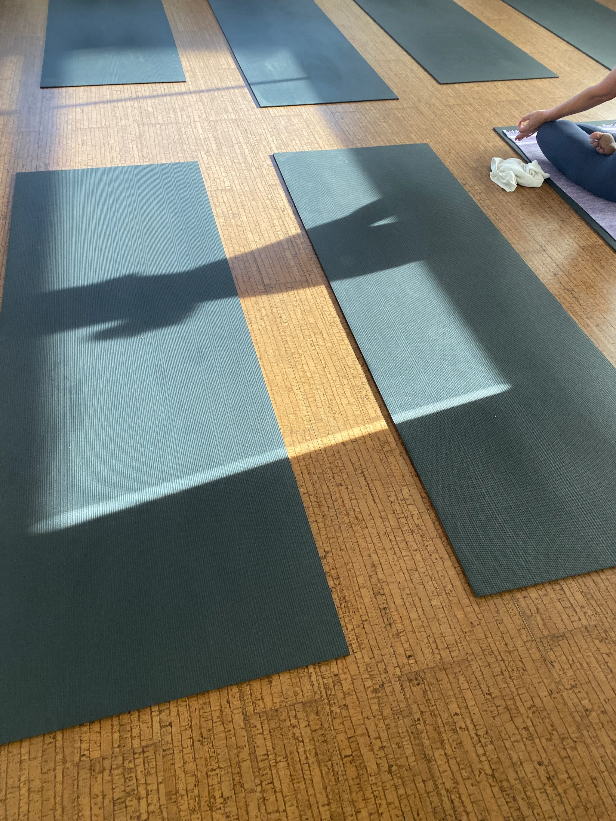 Online Pranayama (Breathwork) Courses