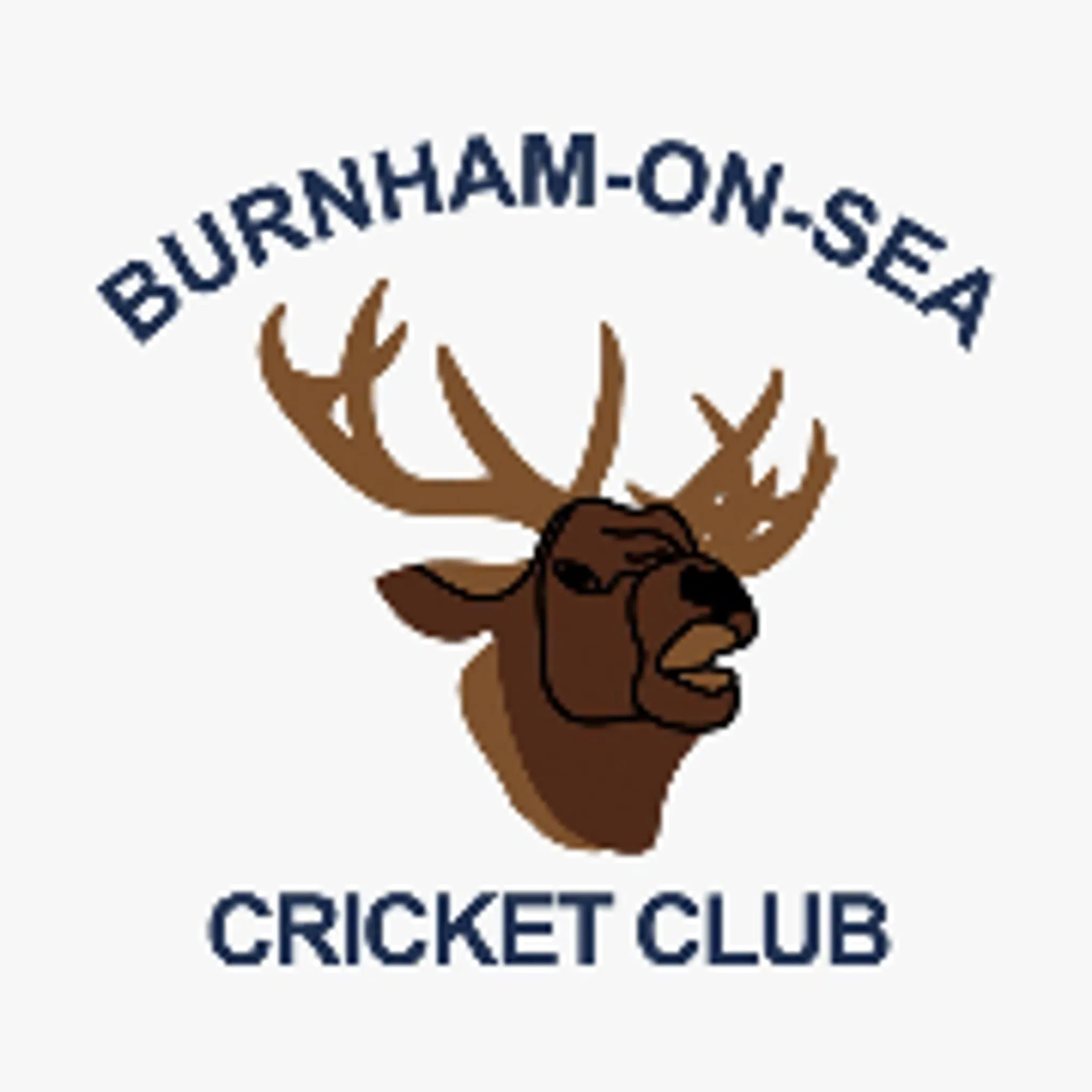 Burnham on Sea Cricket Club