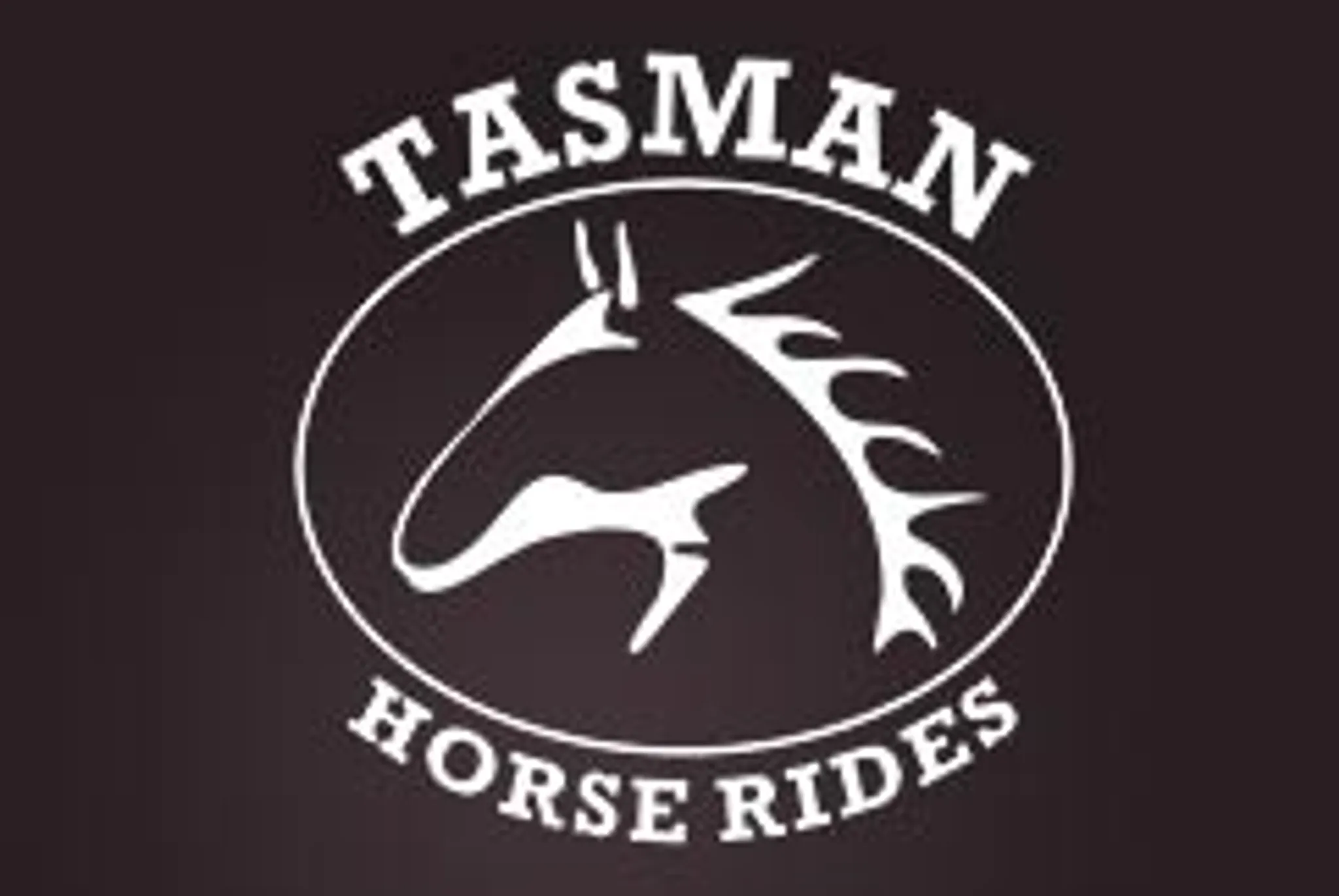 Tasman Rides