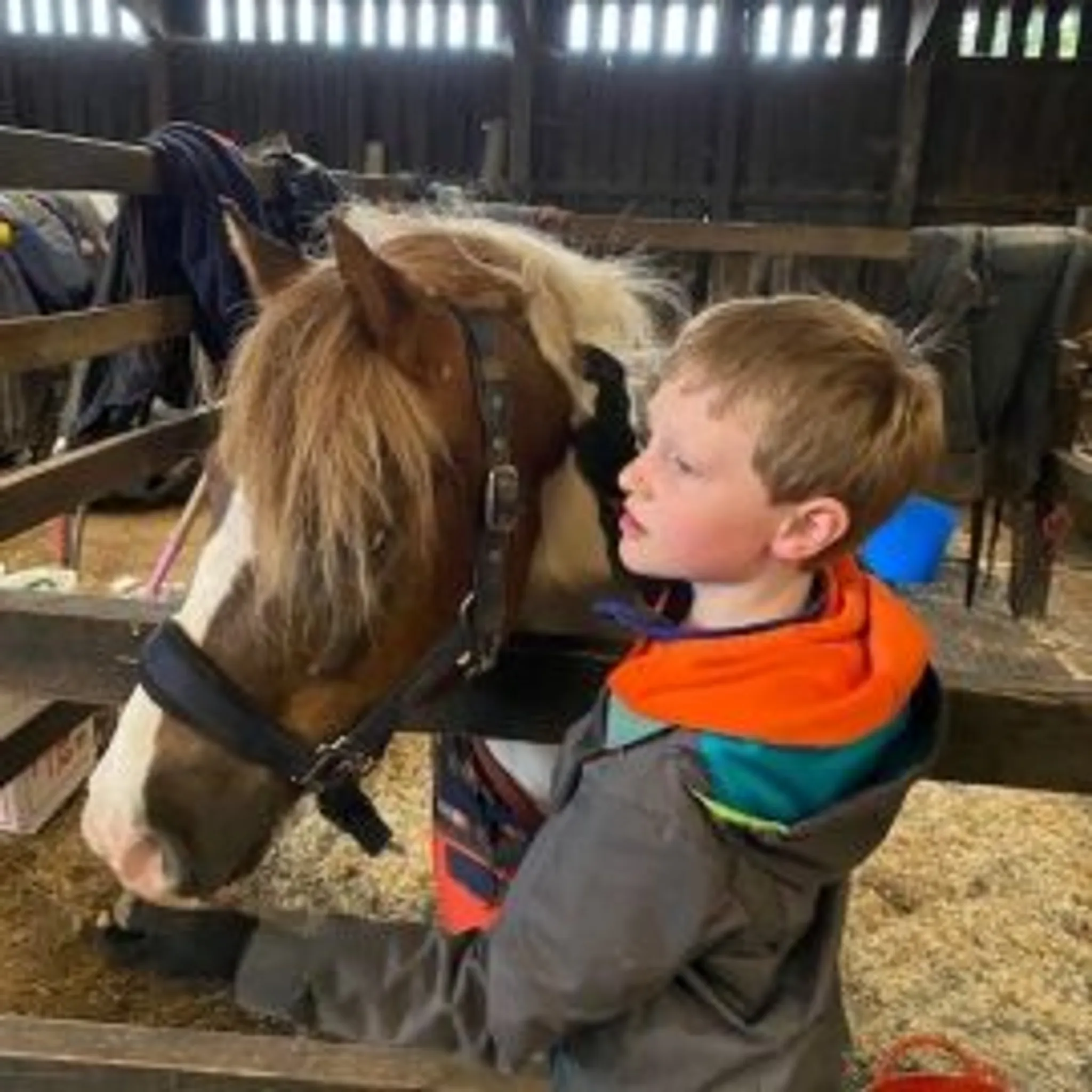 Barguse Riding Centre