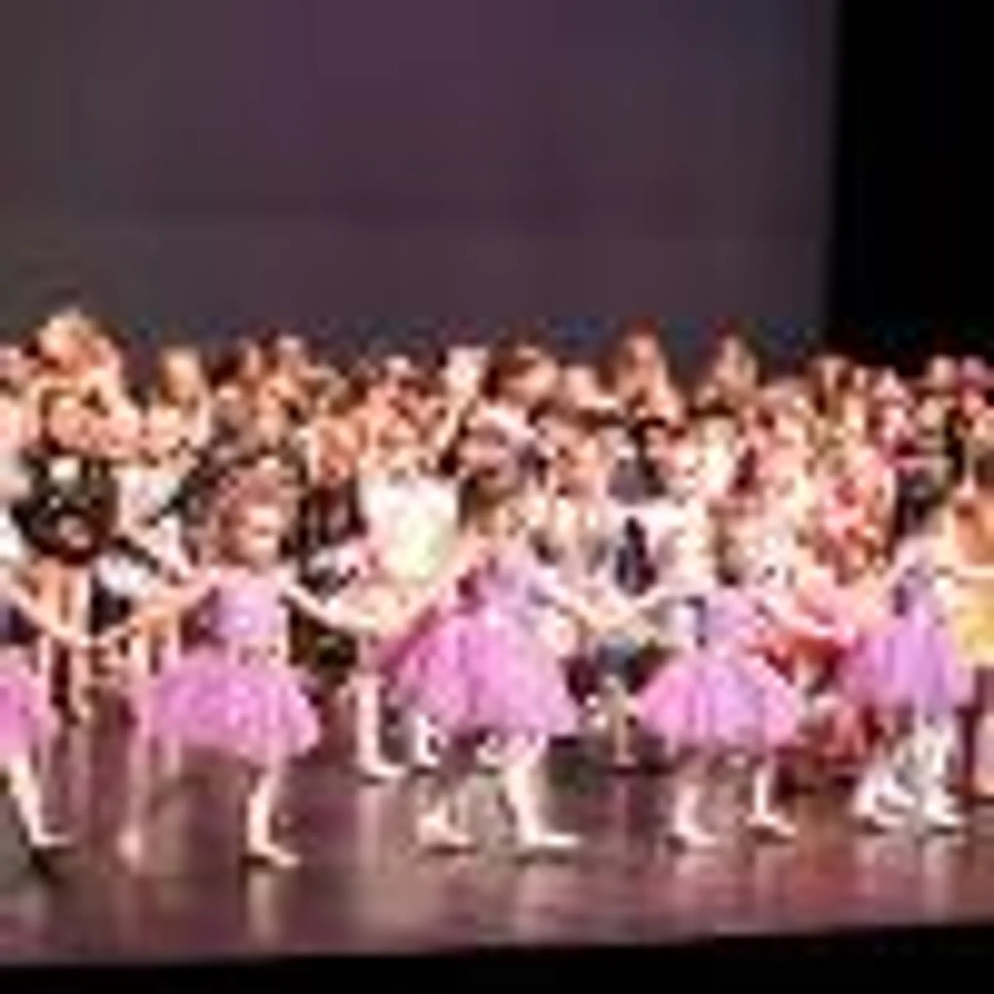 Diversity Dance and Aerial