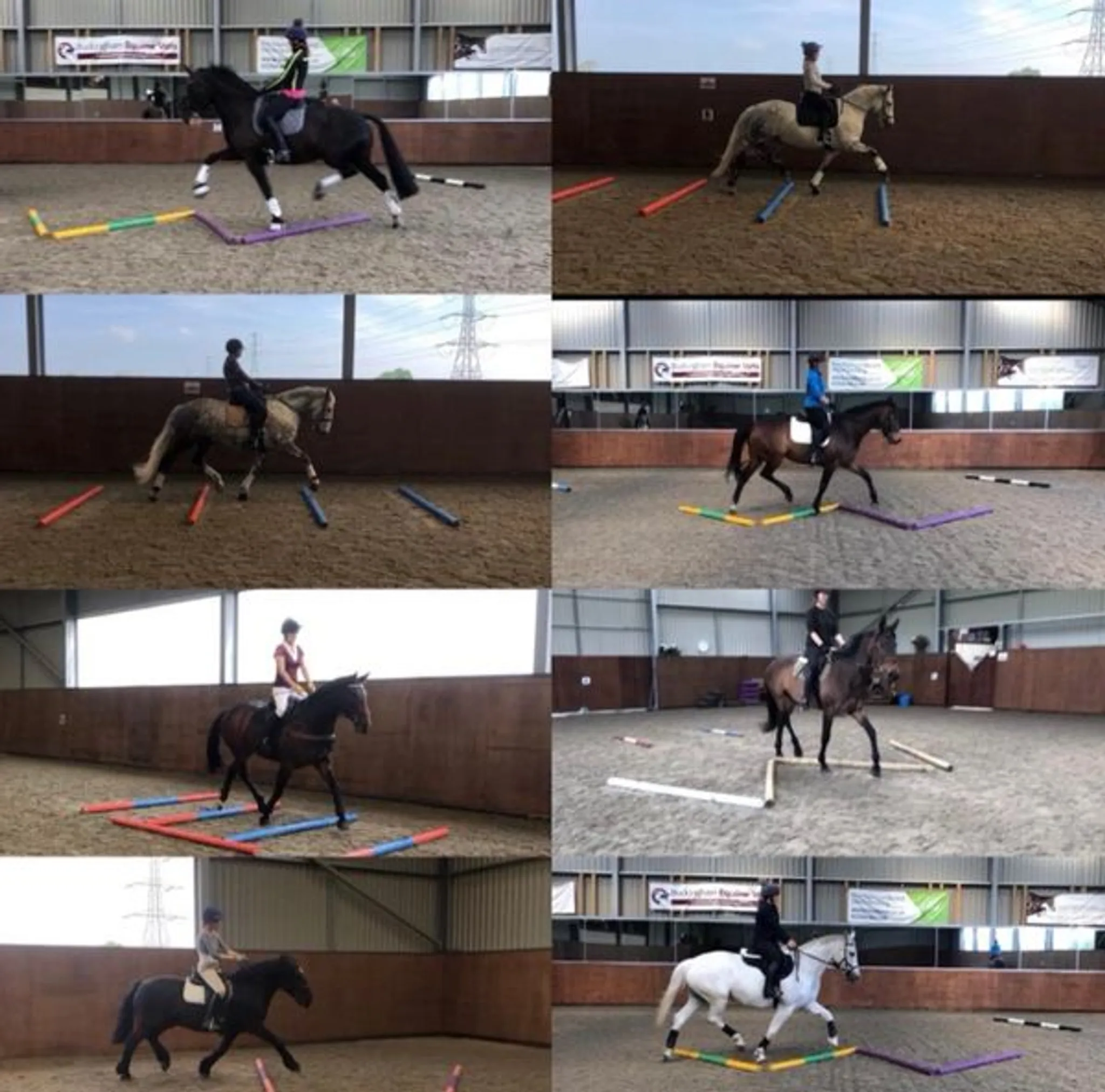 Rebecca Drane Dressage