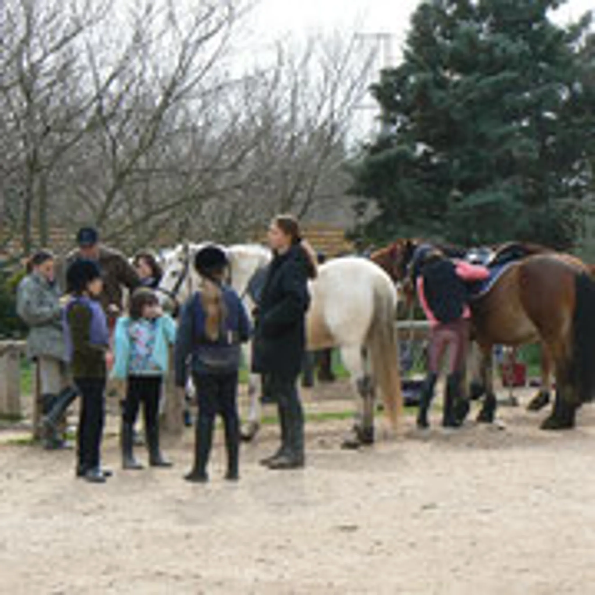 Equestrian Center Les Collets