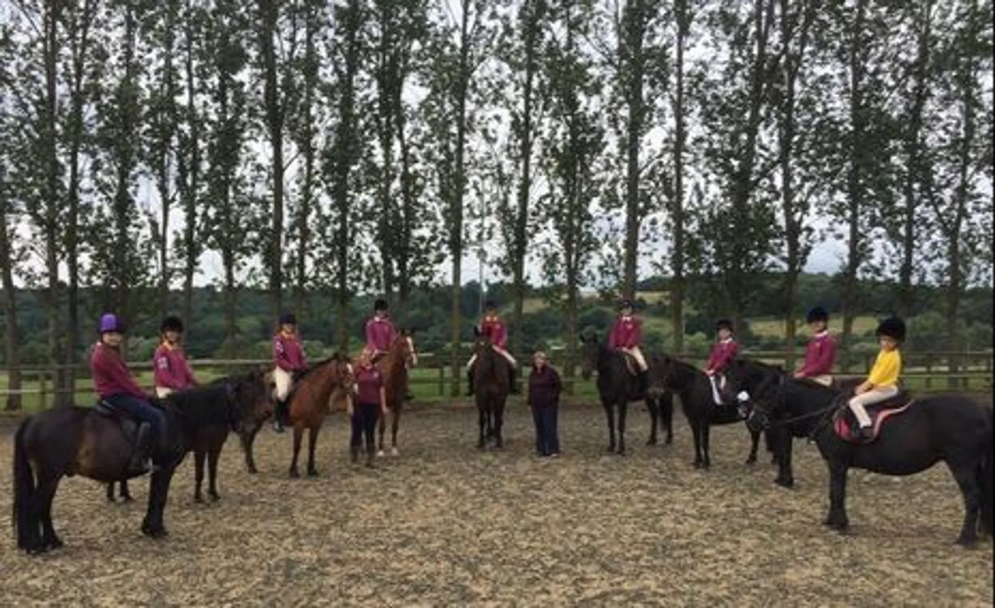 South Farm Riding Stables