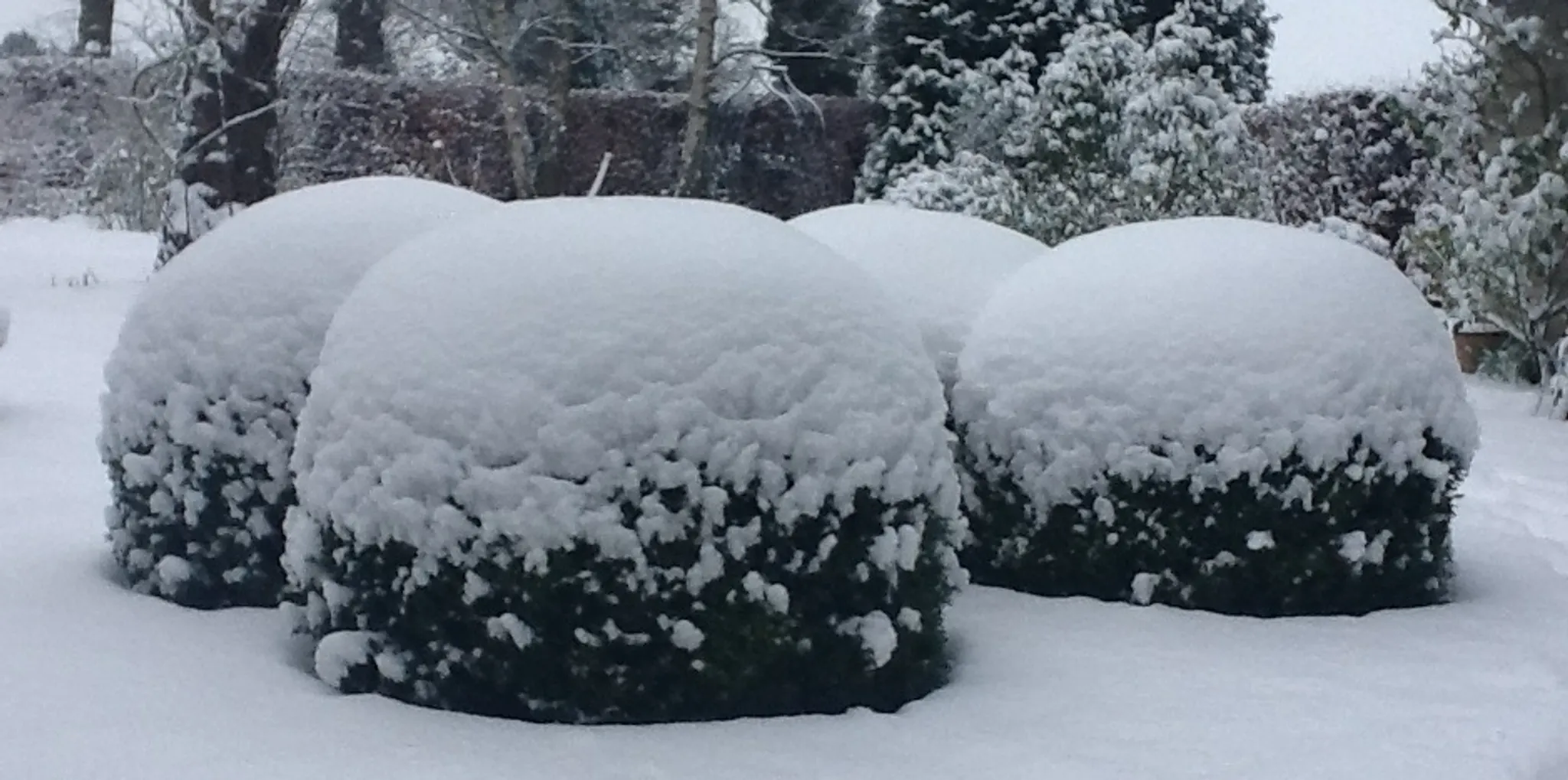 Introduction to Yoga Sūtras of Patañjali