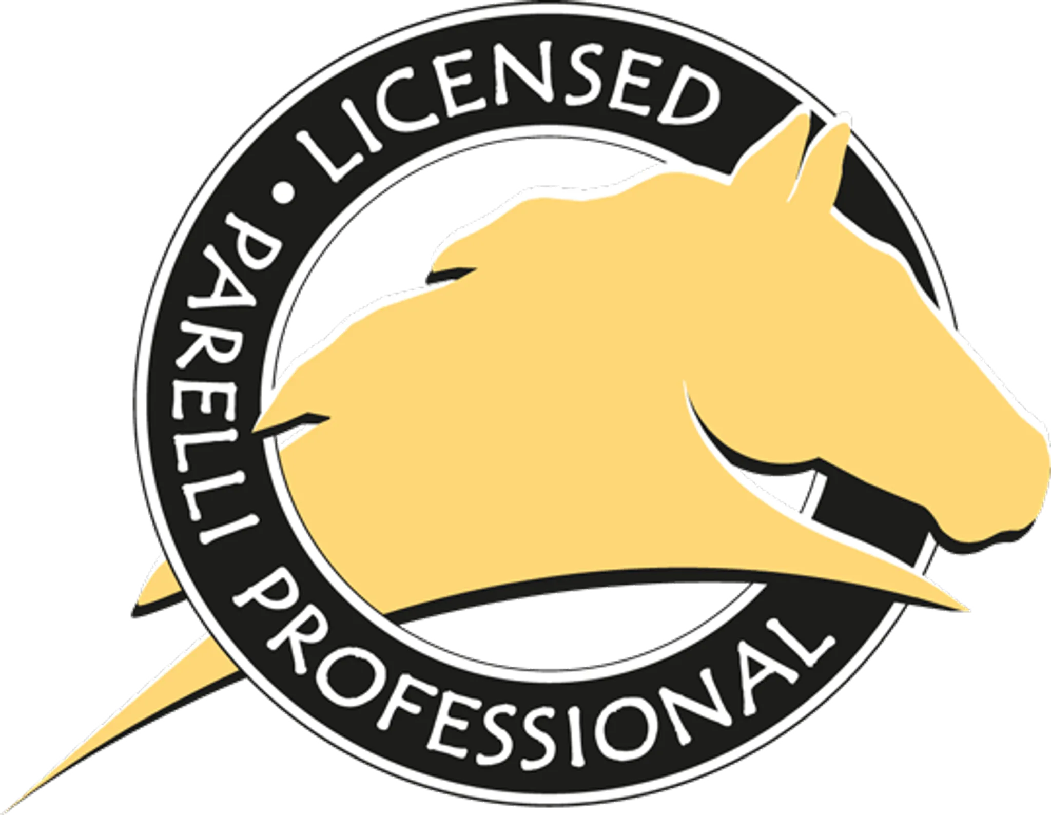 Lighthorse Adventures Horse Treks