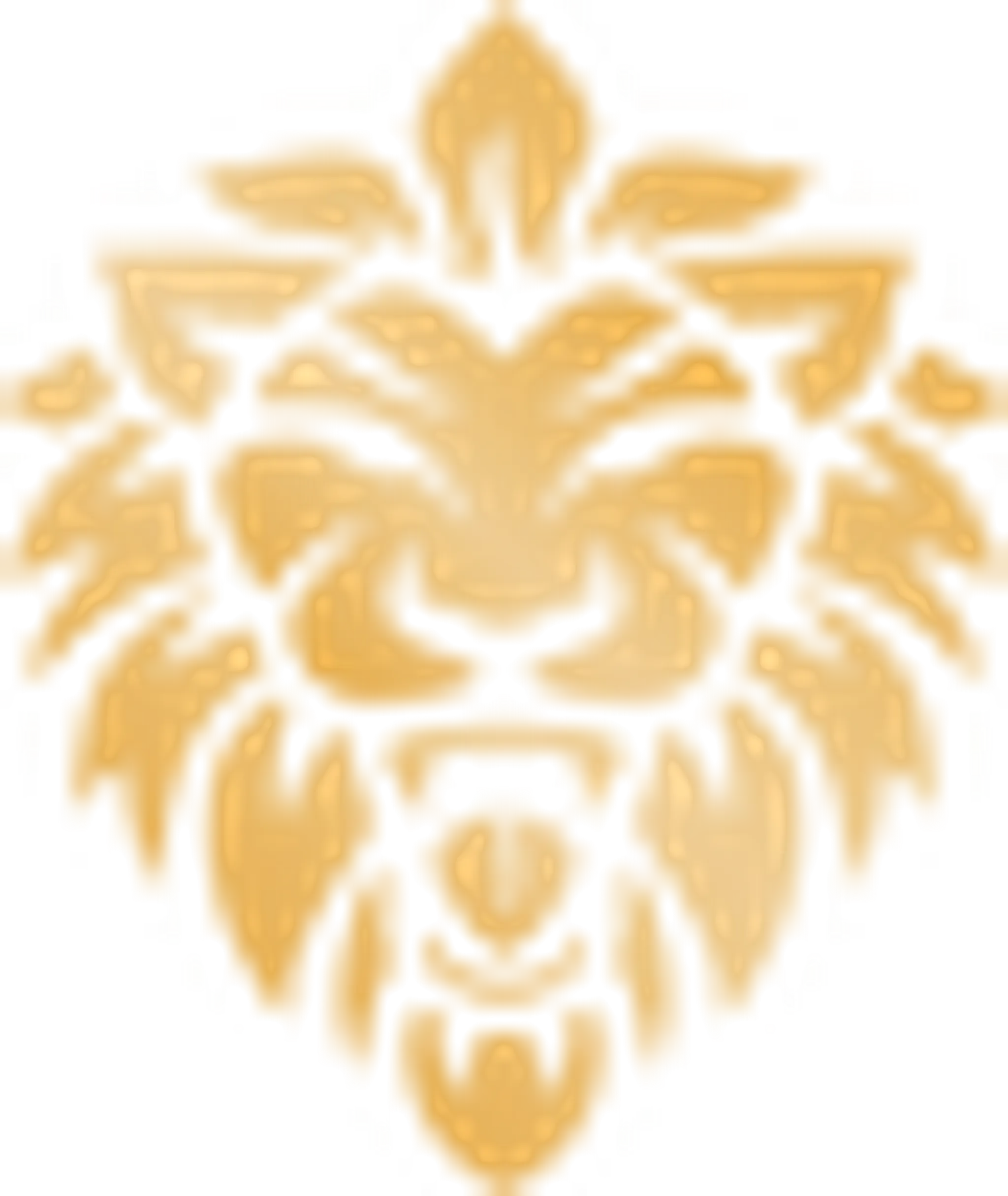 Kingdom Muay Thai and Fitness (Richmond Hill)