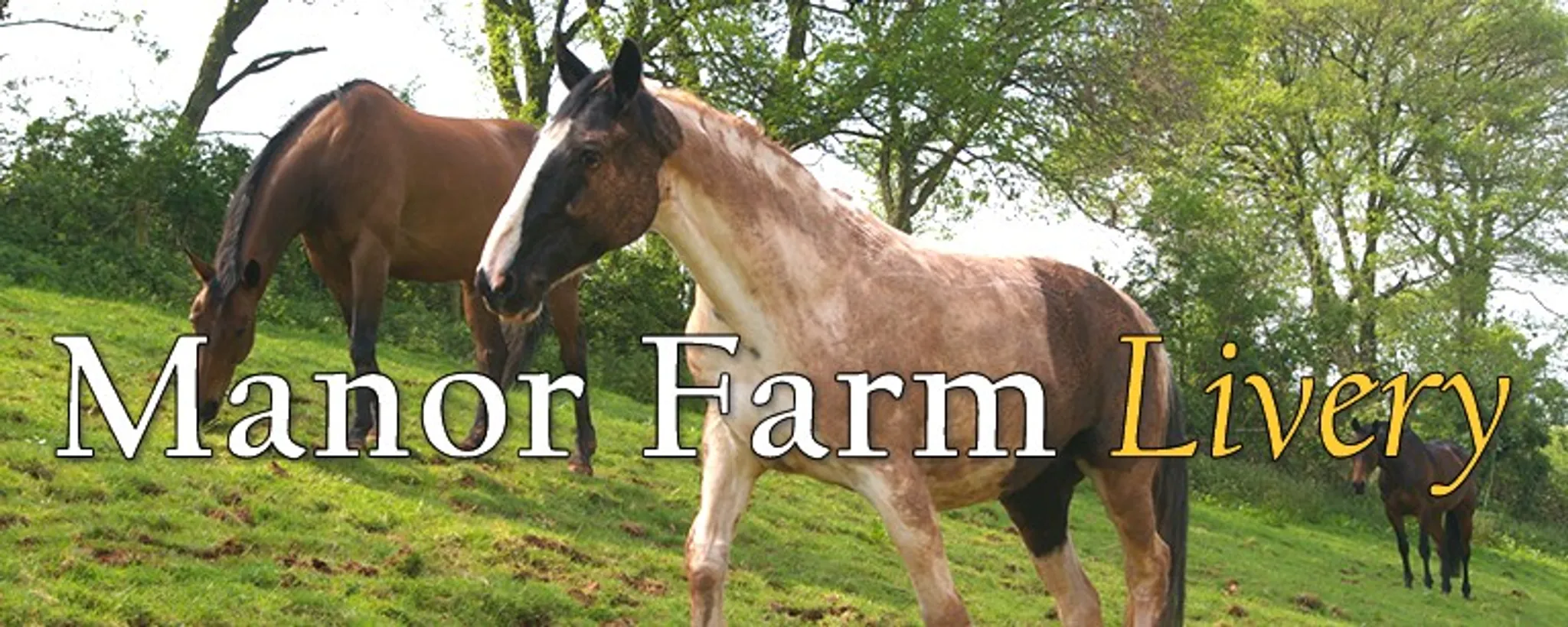 Livery at Manor Farm